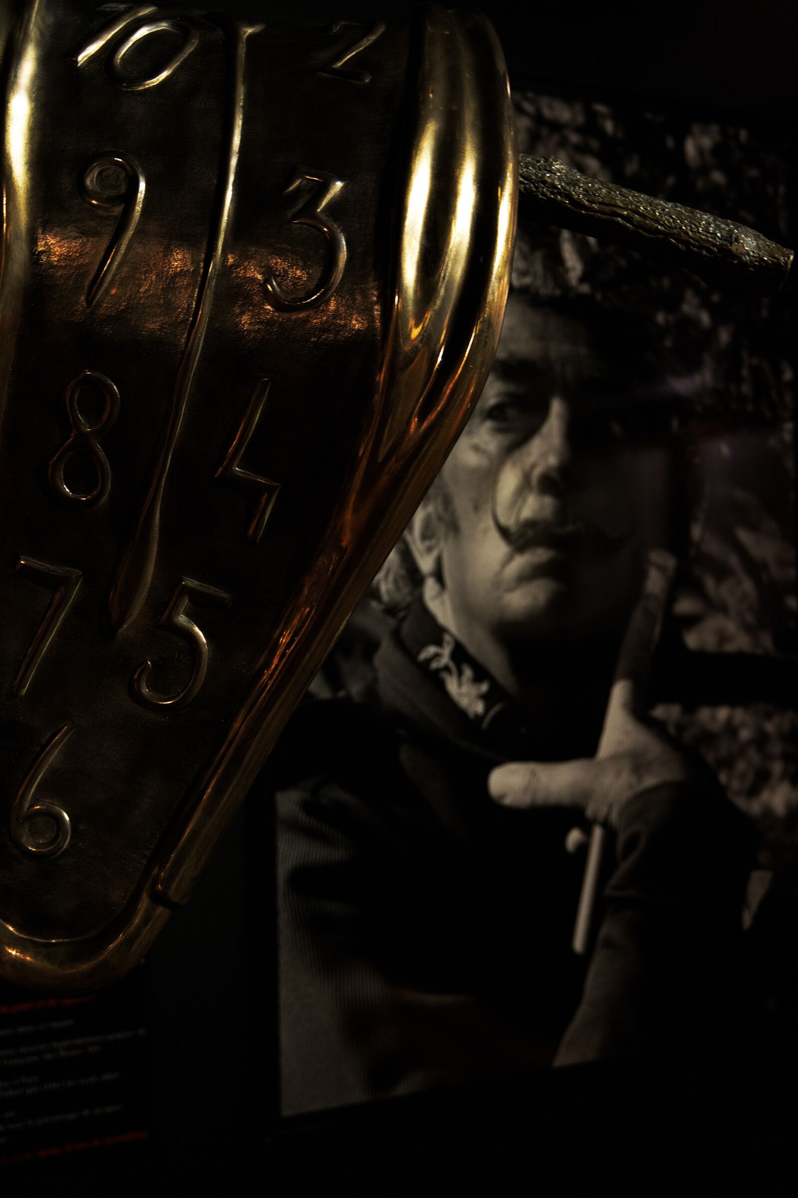Nikon D7100 sample photo. Salvador dali, dali, paris photography