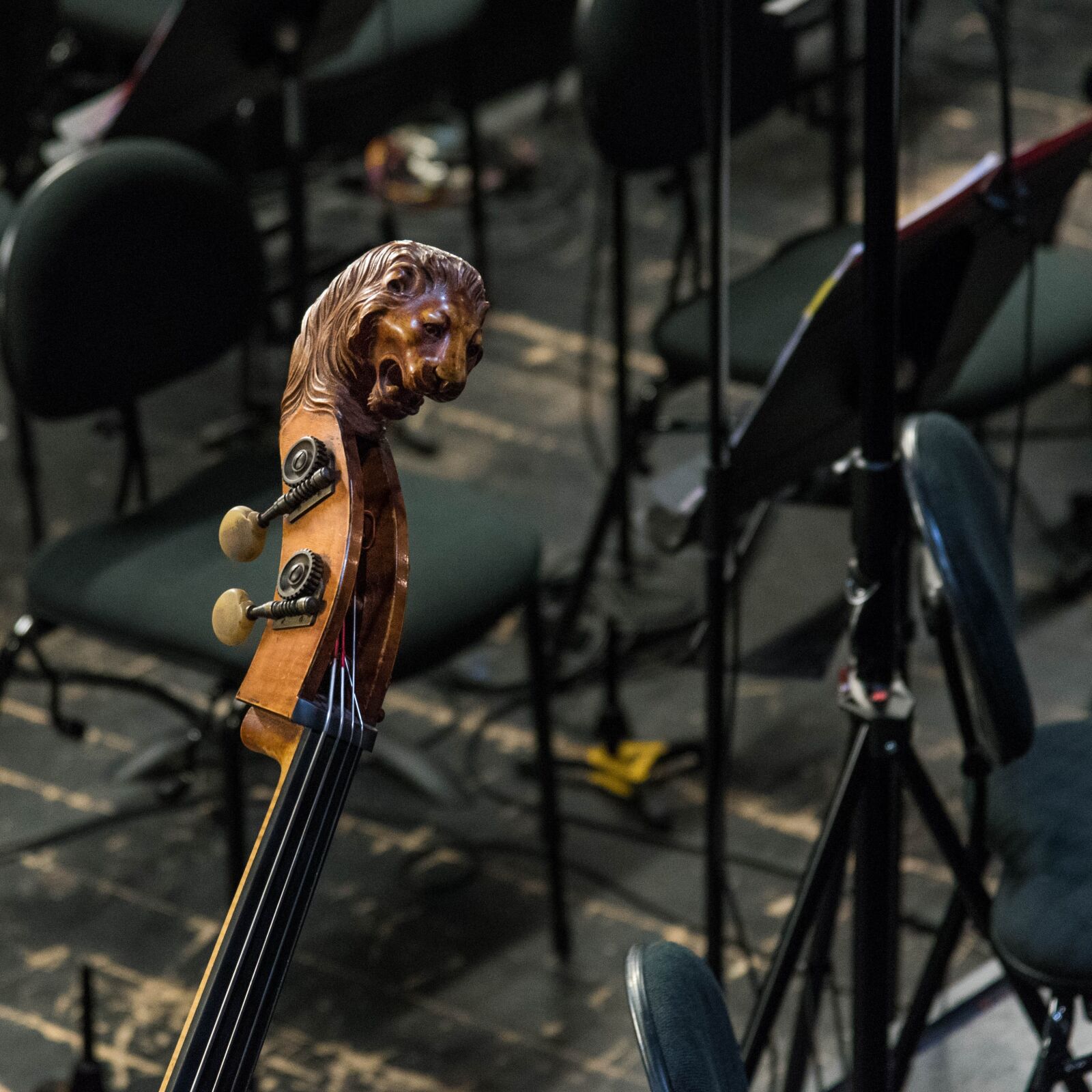 Nikon D750 sample photo. Opera, lyon, orchestra pit photography