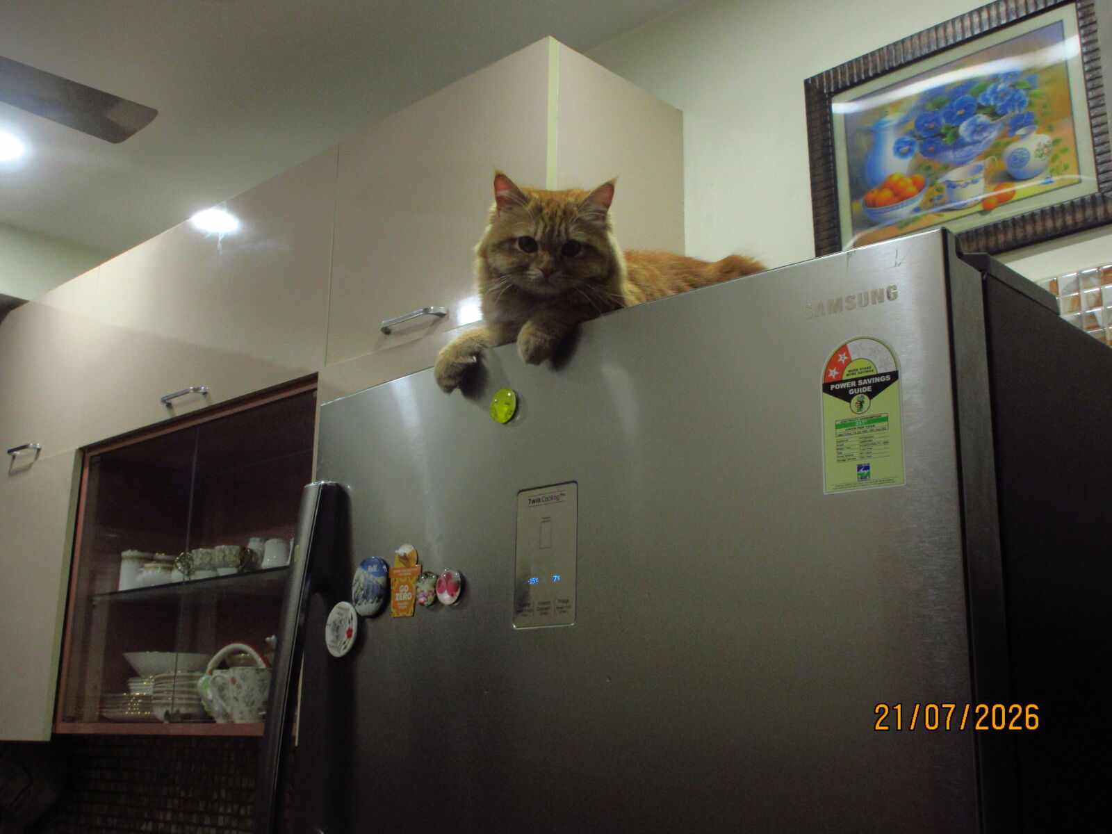 Canon PowerShot ELPH 360 HS (IXUS 285 HS / IXY 650) sample photo. Alice photography