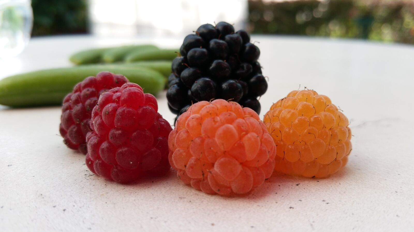 Samsung Galaxy S5 LTE-A sample photo. Raspberry, blackberry, food photography