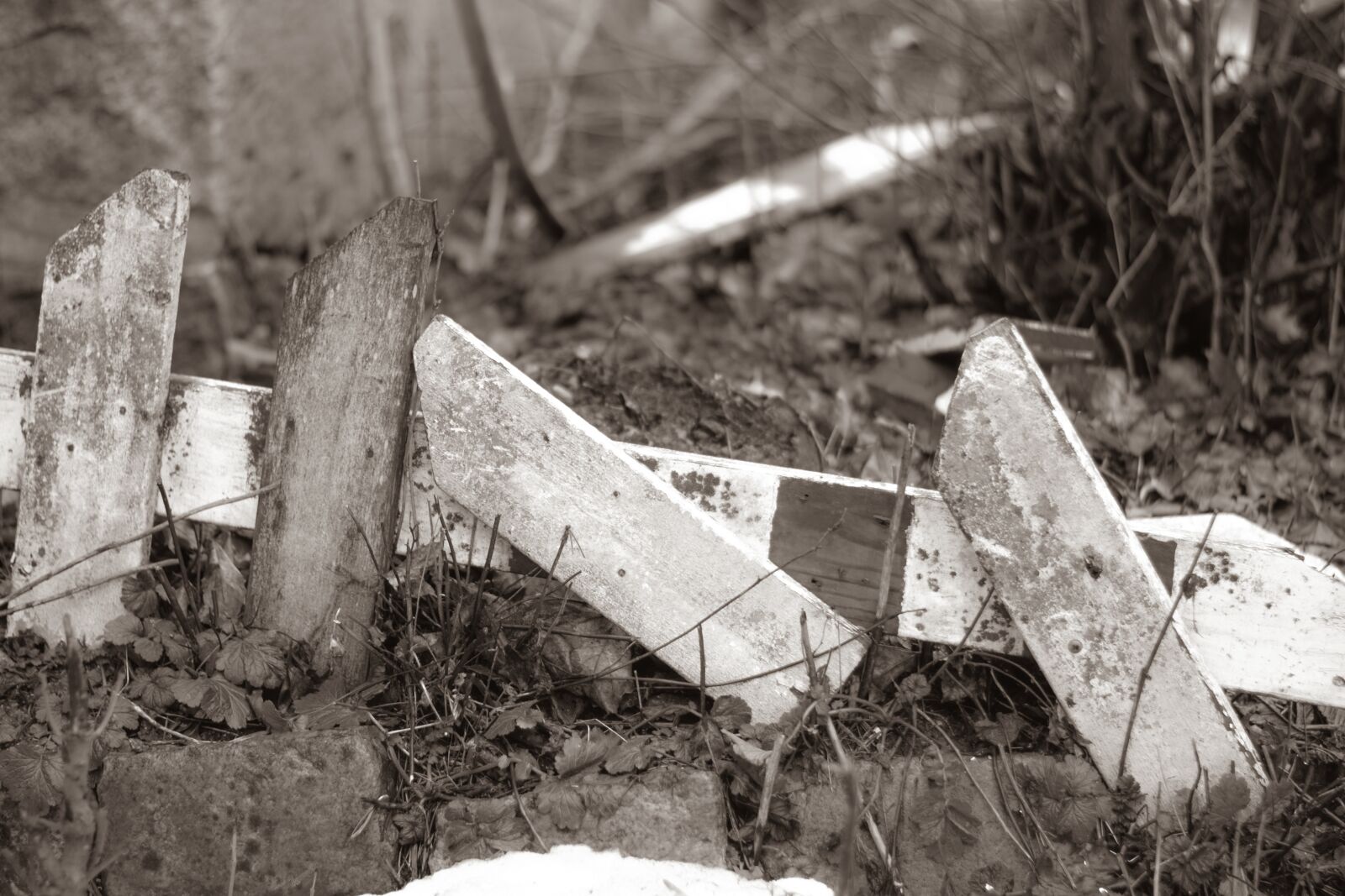 Nikon D5300 sample photo. Detail, fence, architecture photography
