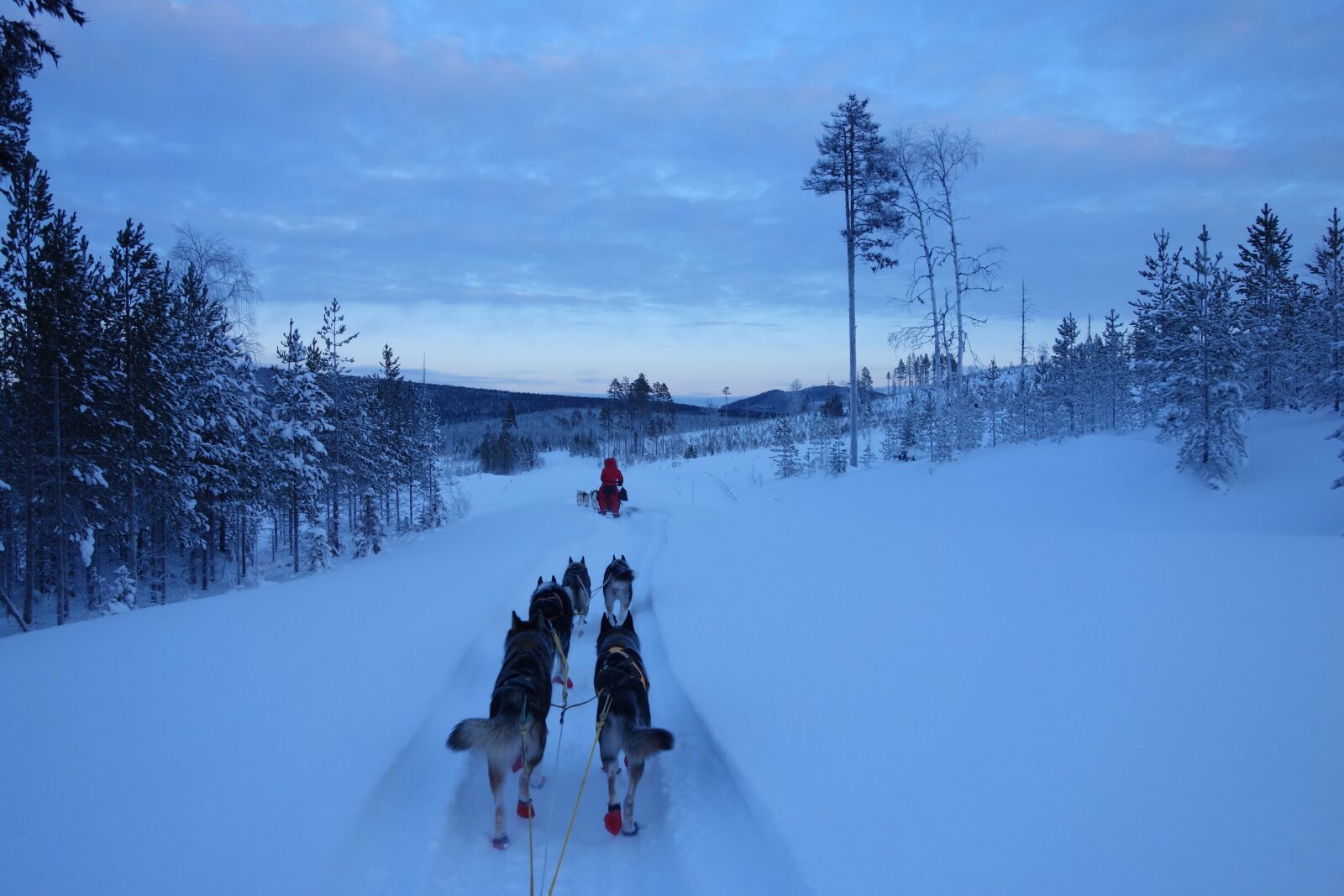 Sony Cyber-shot DSC-RX100 sample photo. Landscape, huskies, team photography