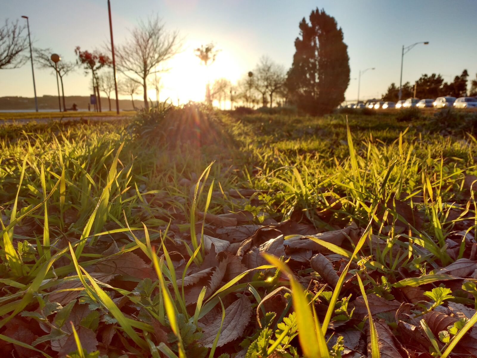 Motorola MotoG3 sample photo. Afternoon, autumn, autumn, colours photography