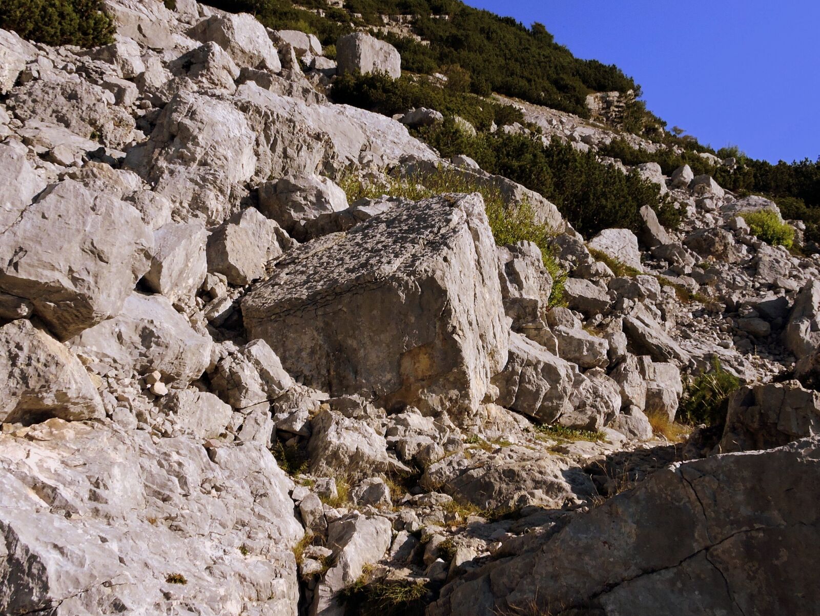 Nikon Coolpix P600 sample photo. Rocks, sassi, mountain photography