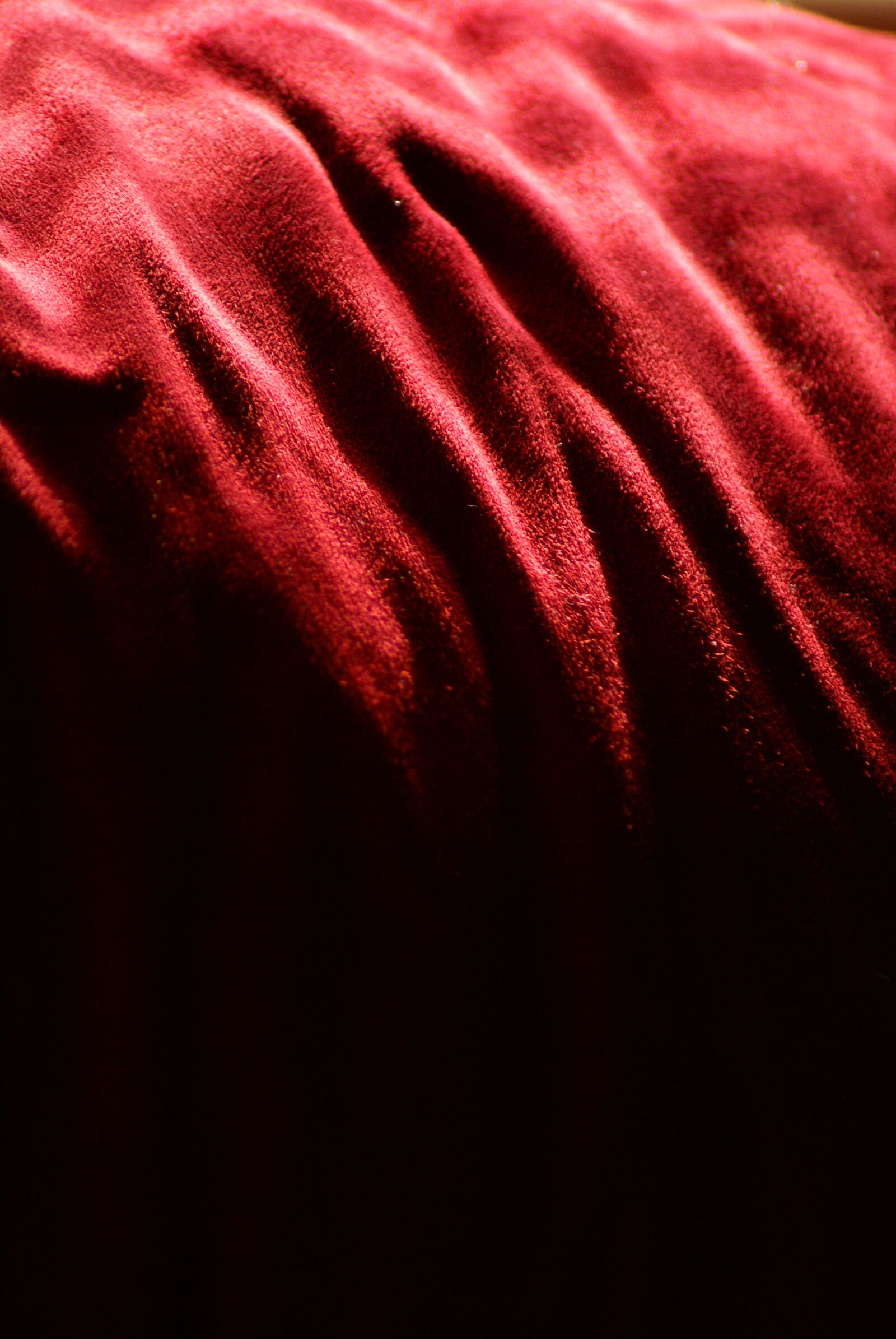 Sony Alpha DSLR-A100 sample photo. Red, texture, shadows photography