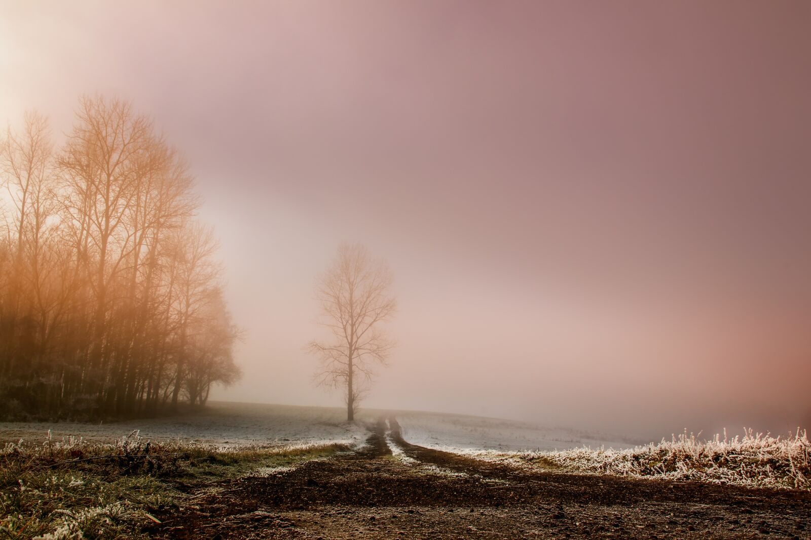 Canon EOS 80D sample photo. Fog, dawn, landscape photography