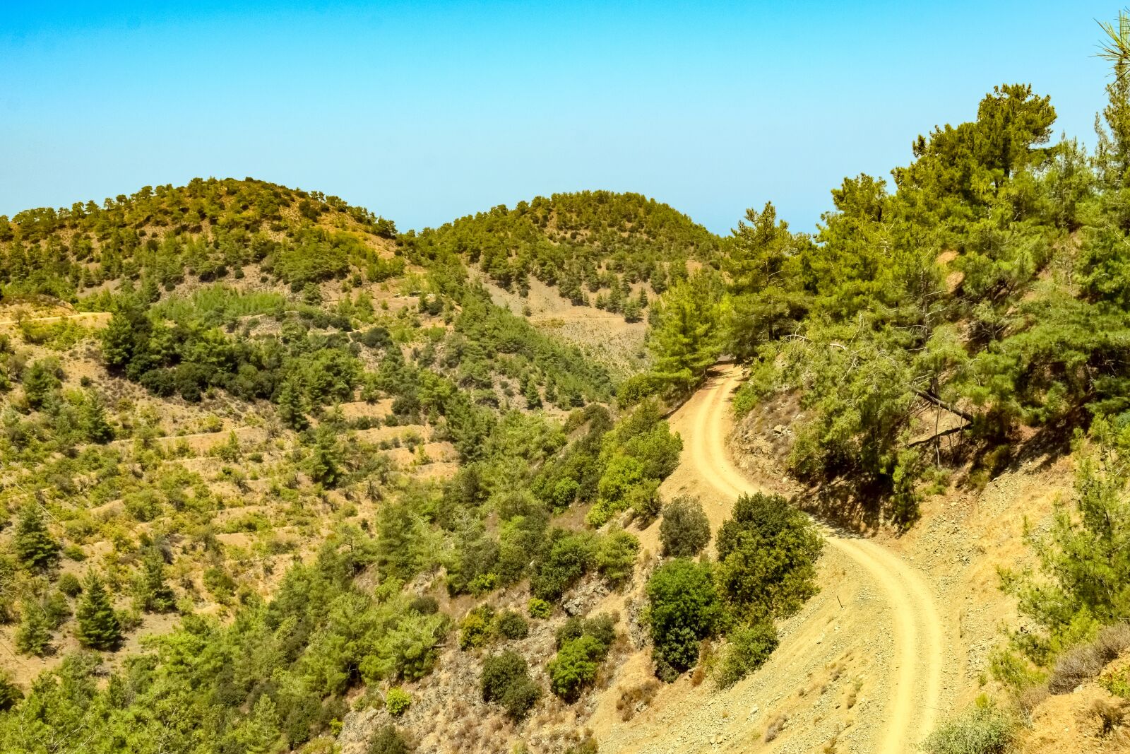 Nikon D3300 sample photo. Mountains, forest, dirt road photography