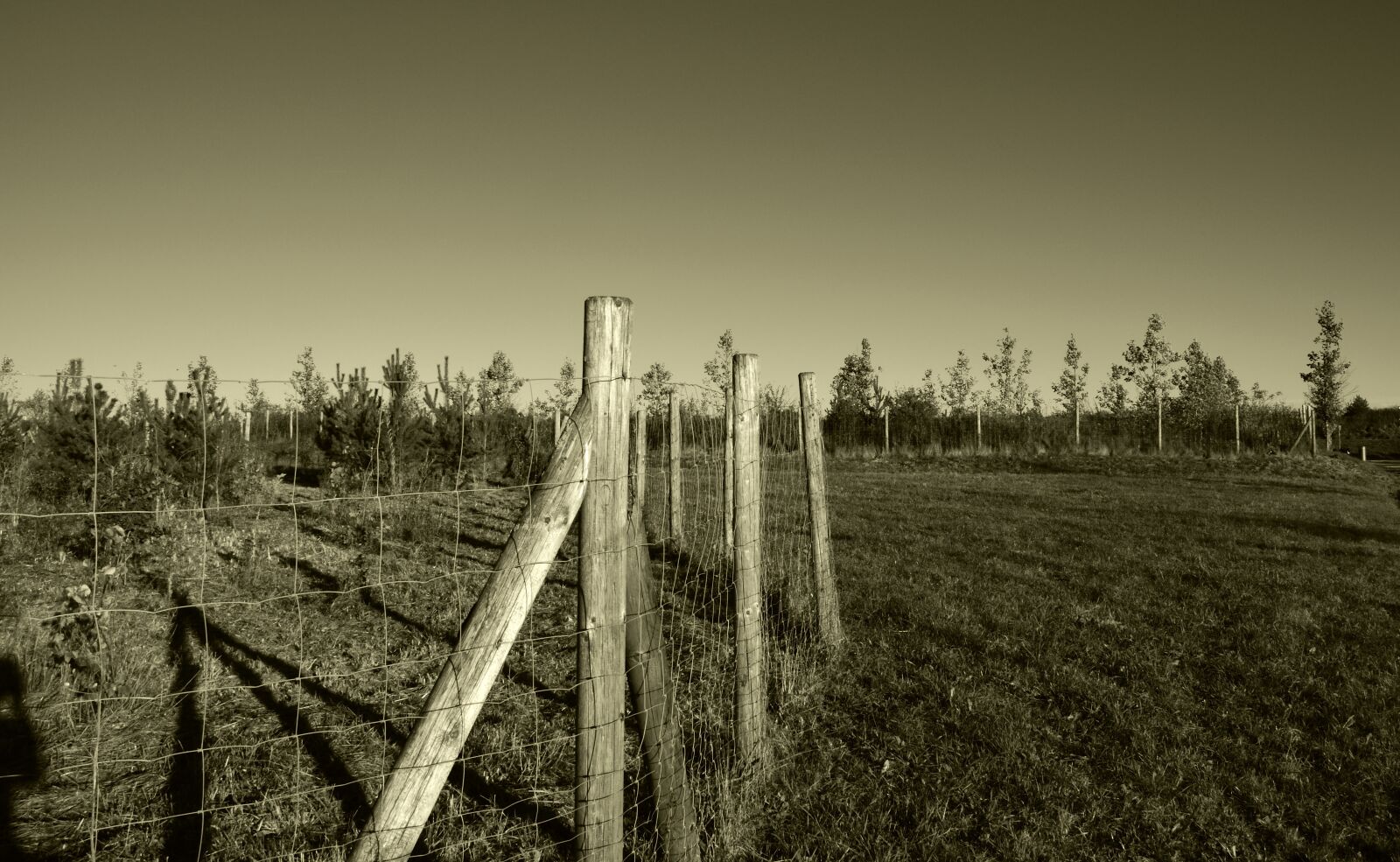 Nikon D5300 sample photo. Fence, wood, grass photography