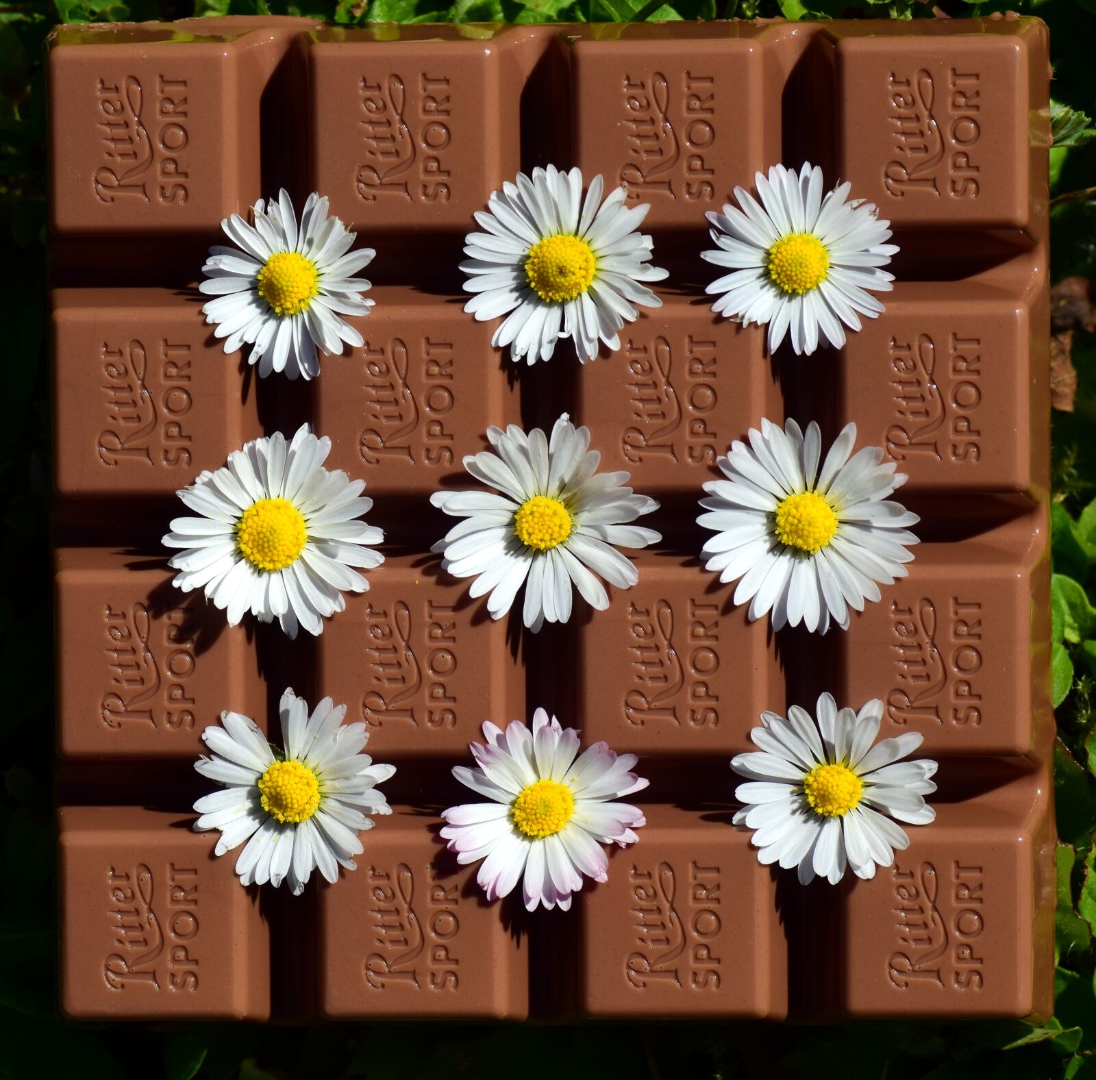 Nikon D3300 sample photo. Chocolate, benefit from, delicious photography