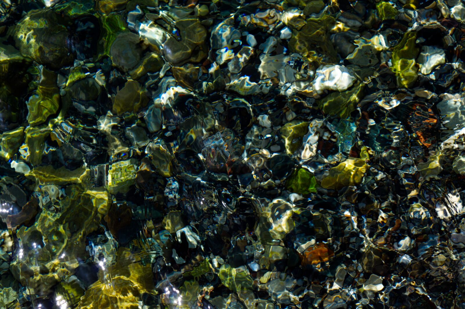 Canon EOS 1300D (EOS Rebel T6 / EOS Kiss X80) sample photo. Seawater, sea, floor photography