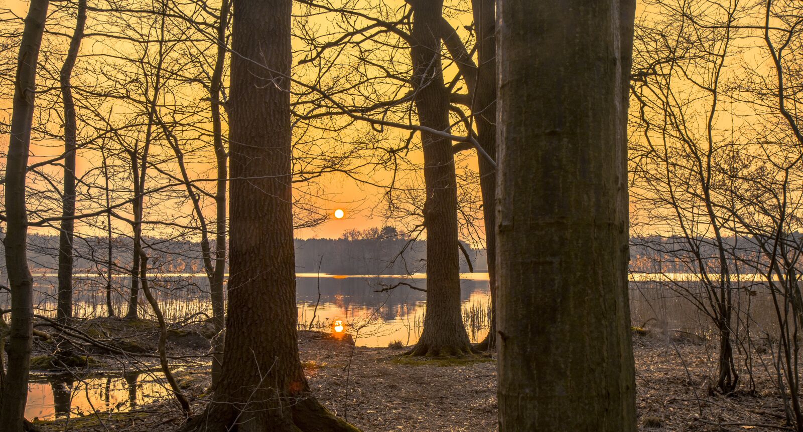 Canon EOS 80D sample photo. Sunset, moritz castle photography