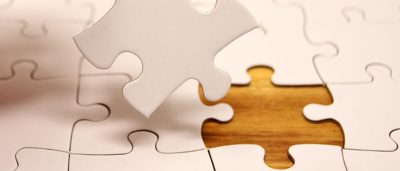 Nikon D7200 sample photo. Puzzle, last part, joining photography