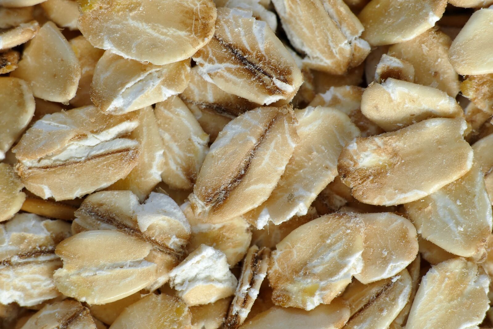 Panasonic Lumix DMC-FZ1000 sample photo. Oatmeal, flake, oats photography