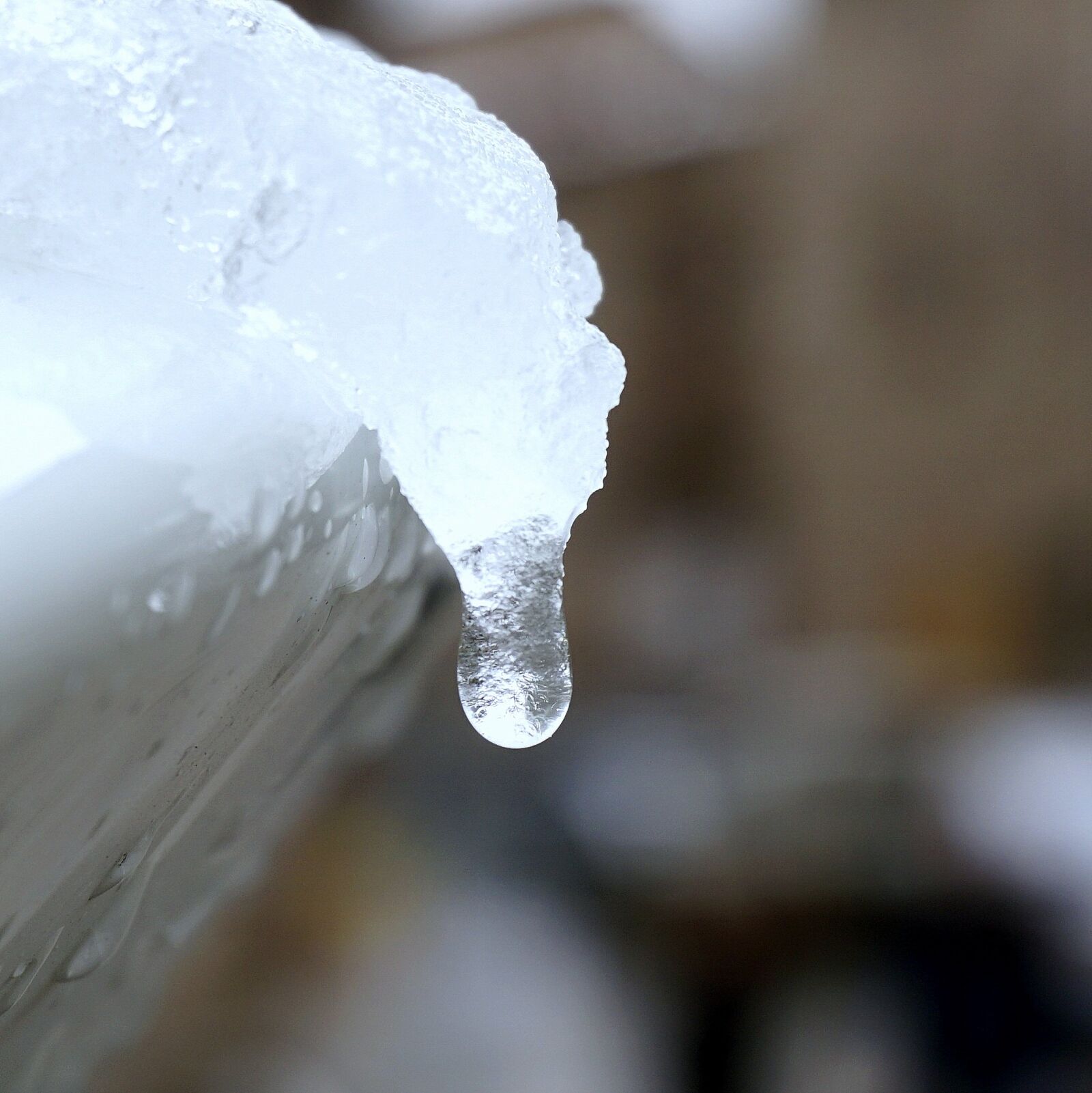 Sony a6000 sample photo. Drop freeze, ice, snow photography