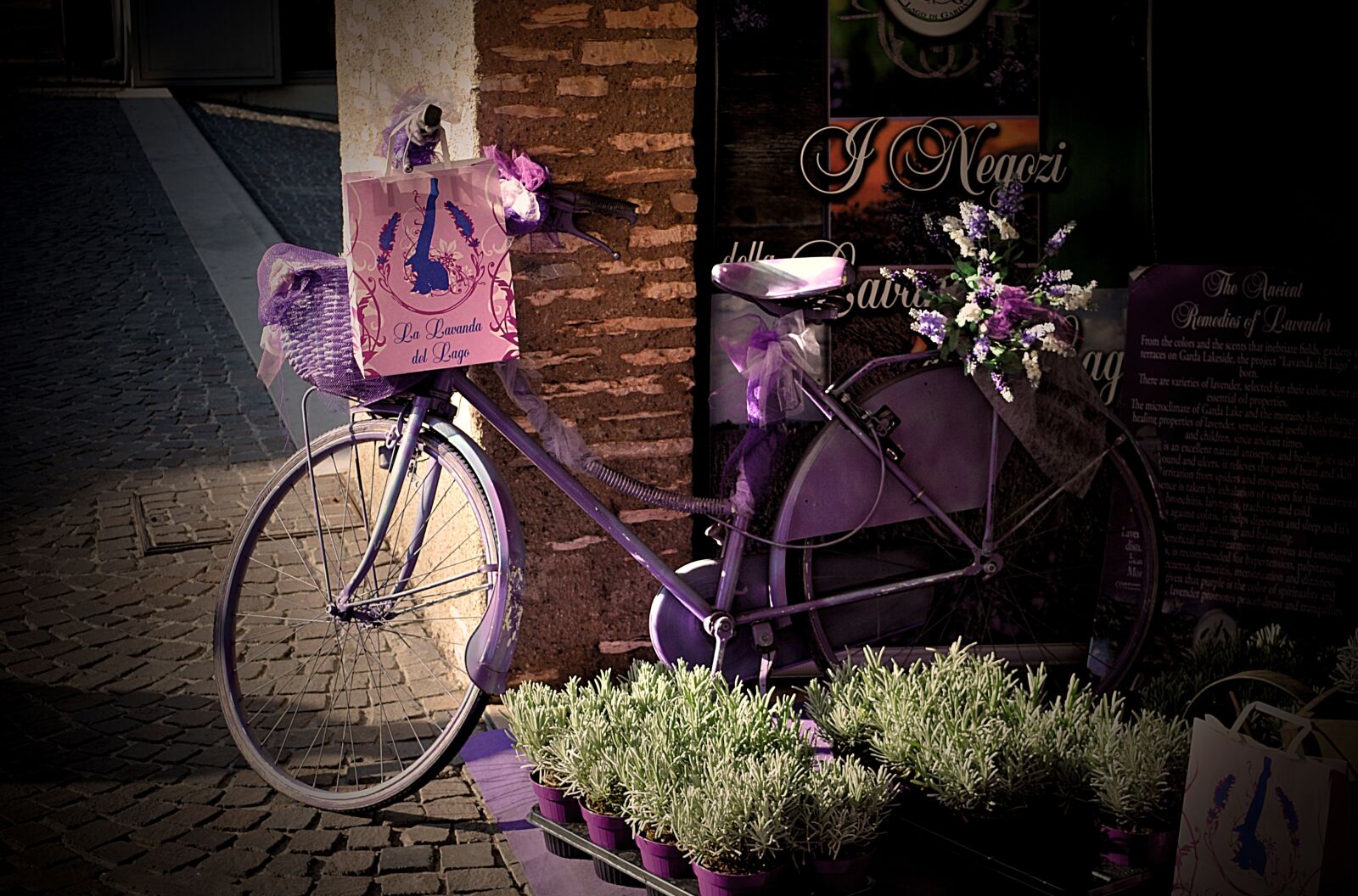 Nikon D3000 sample photo. People, wheel, basket photography