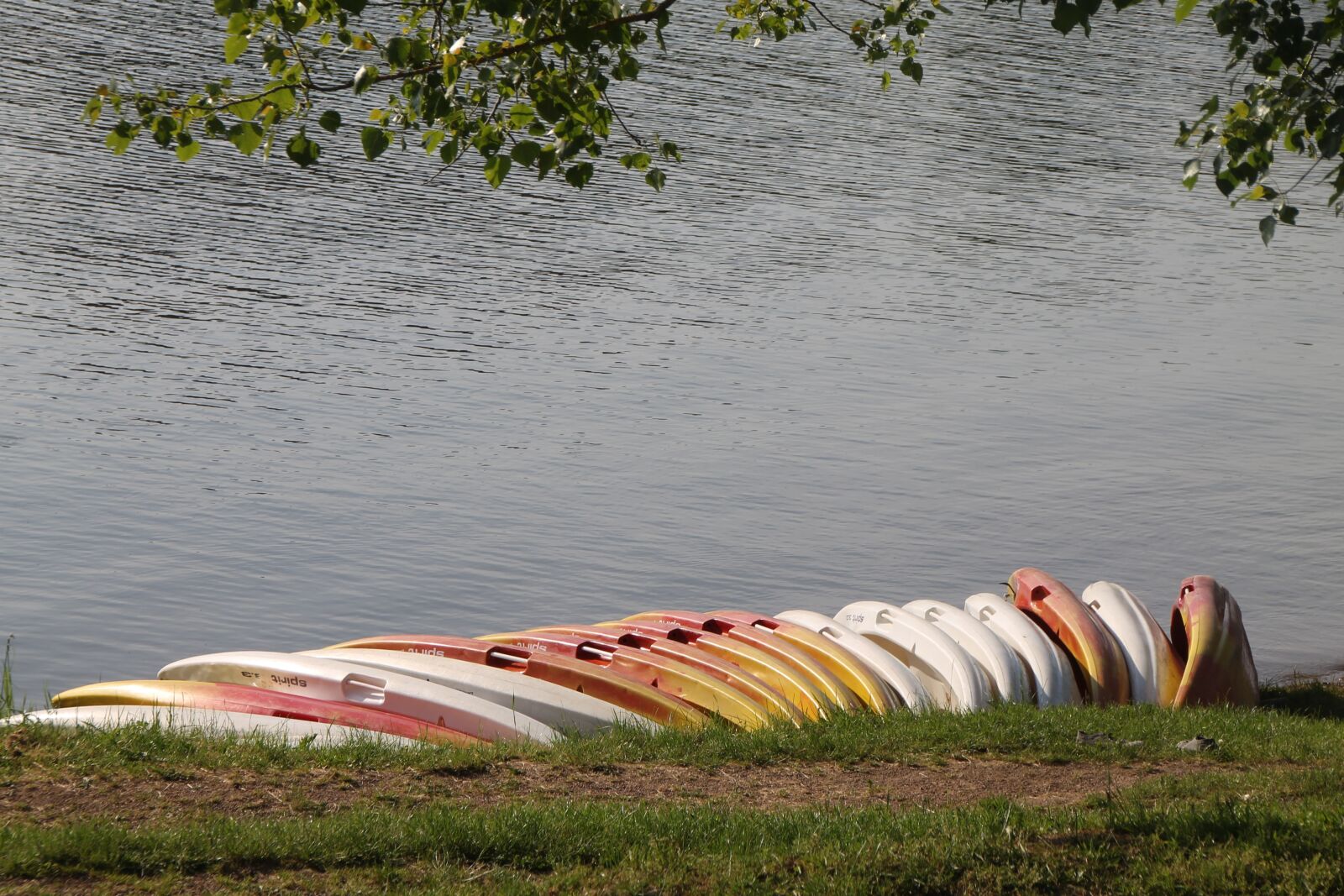Canon EOS 1100D (EOS Rebel T3 / EOS Kiss X50) sample photo. Water, nature, peaceful photography