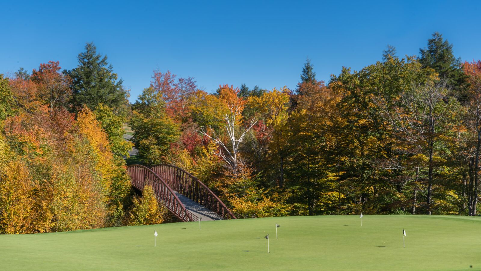 Sony a7R II + Sony FE 24-240mm F3.5-6.3 OSS sample photo. Vermont, stowe, fall photography