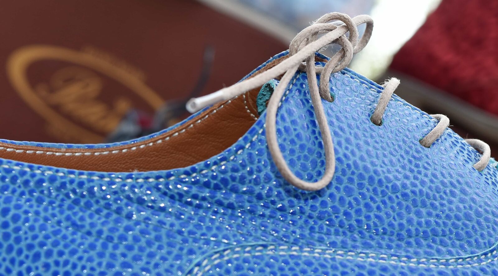 Nikon D5500 sample photo. Detail, handmade, sewing, shoe photography