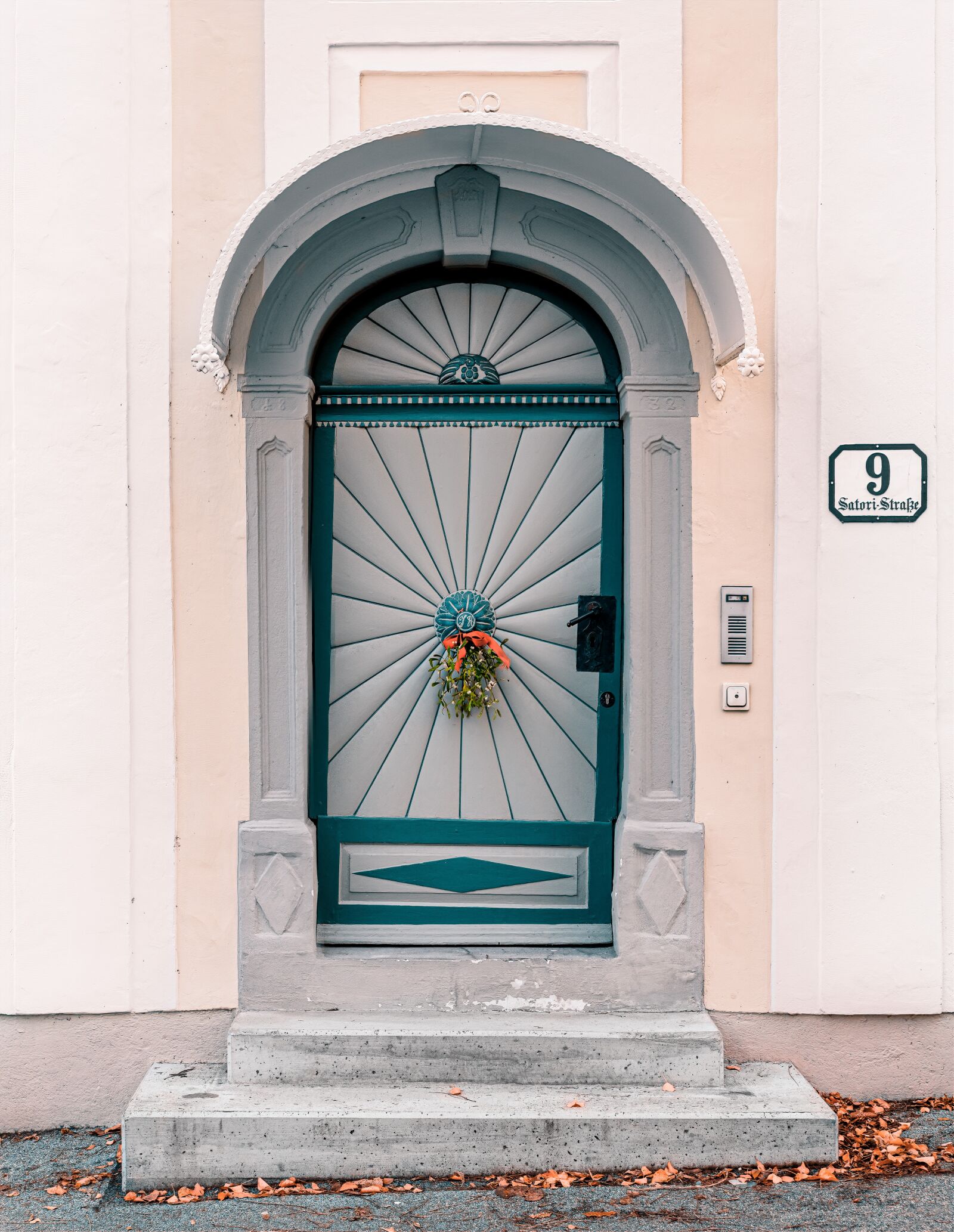 Olympus OM-D E-M1 Mark II + OLYMPUS M.25mm F1.2 sample photo. Mistletoe, door, input photography