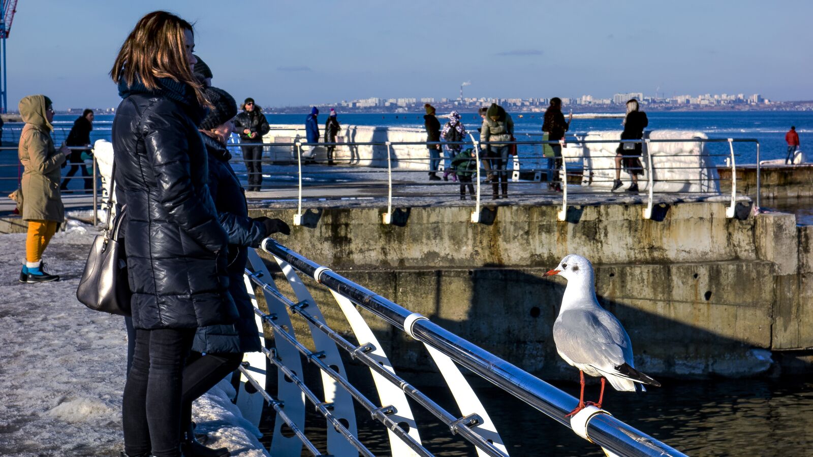 Sony Cyber-shot DSC-RX100 sample photo. Odessa, langeron, seagull photography