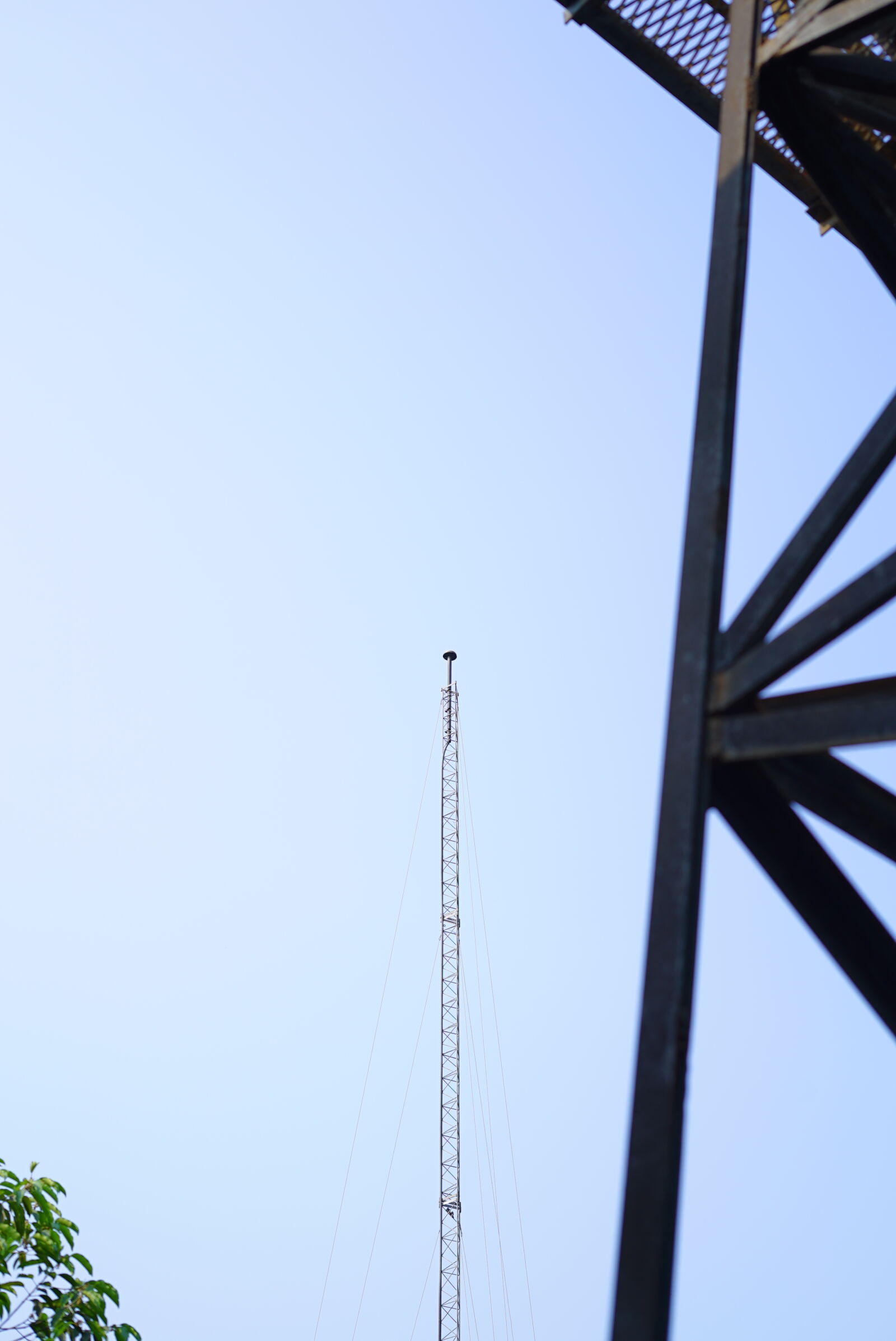 Sony FE 50mm F1.8 sample photo