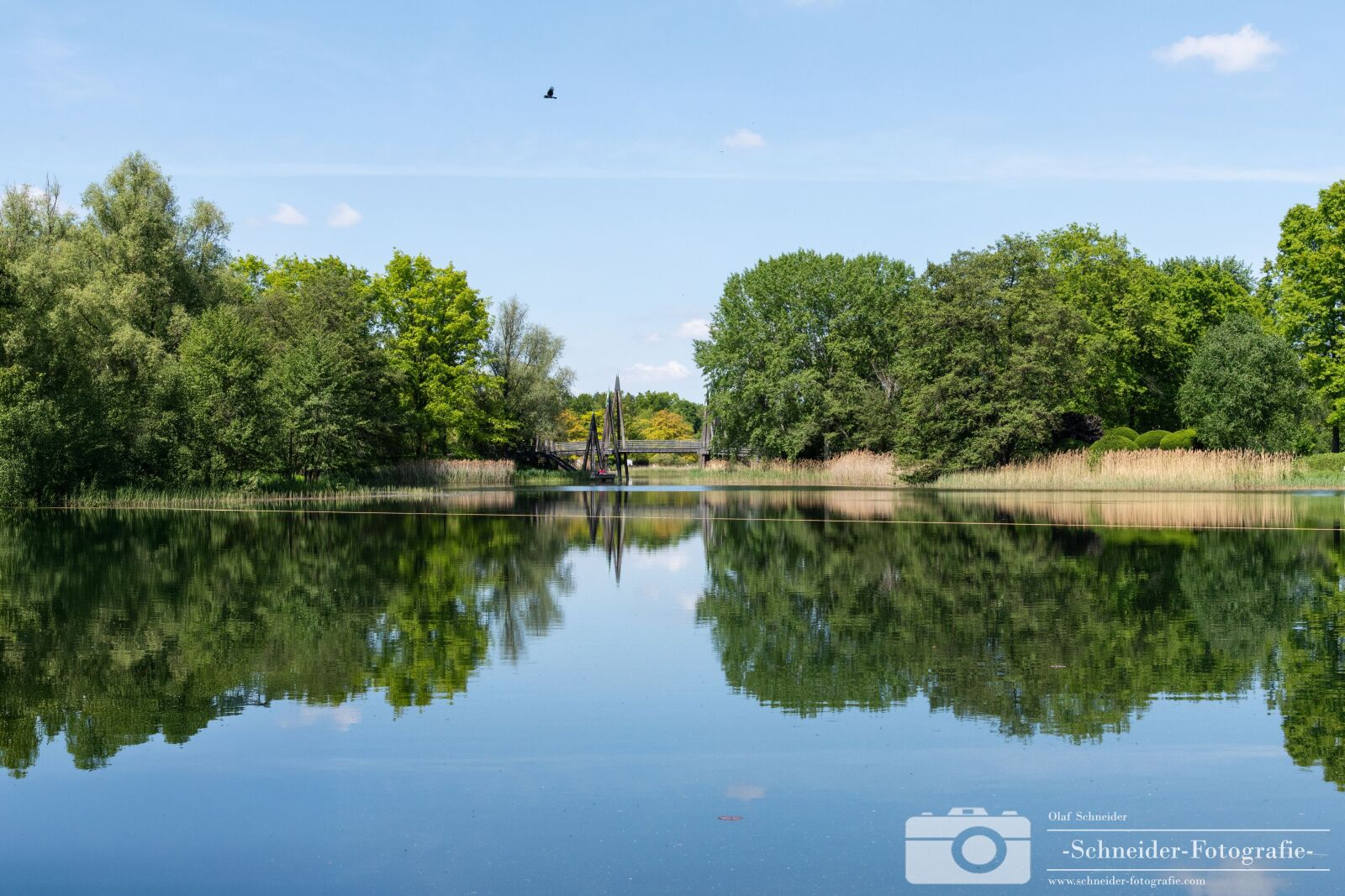 Nikon D850 sample photo. Britzer garden photography