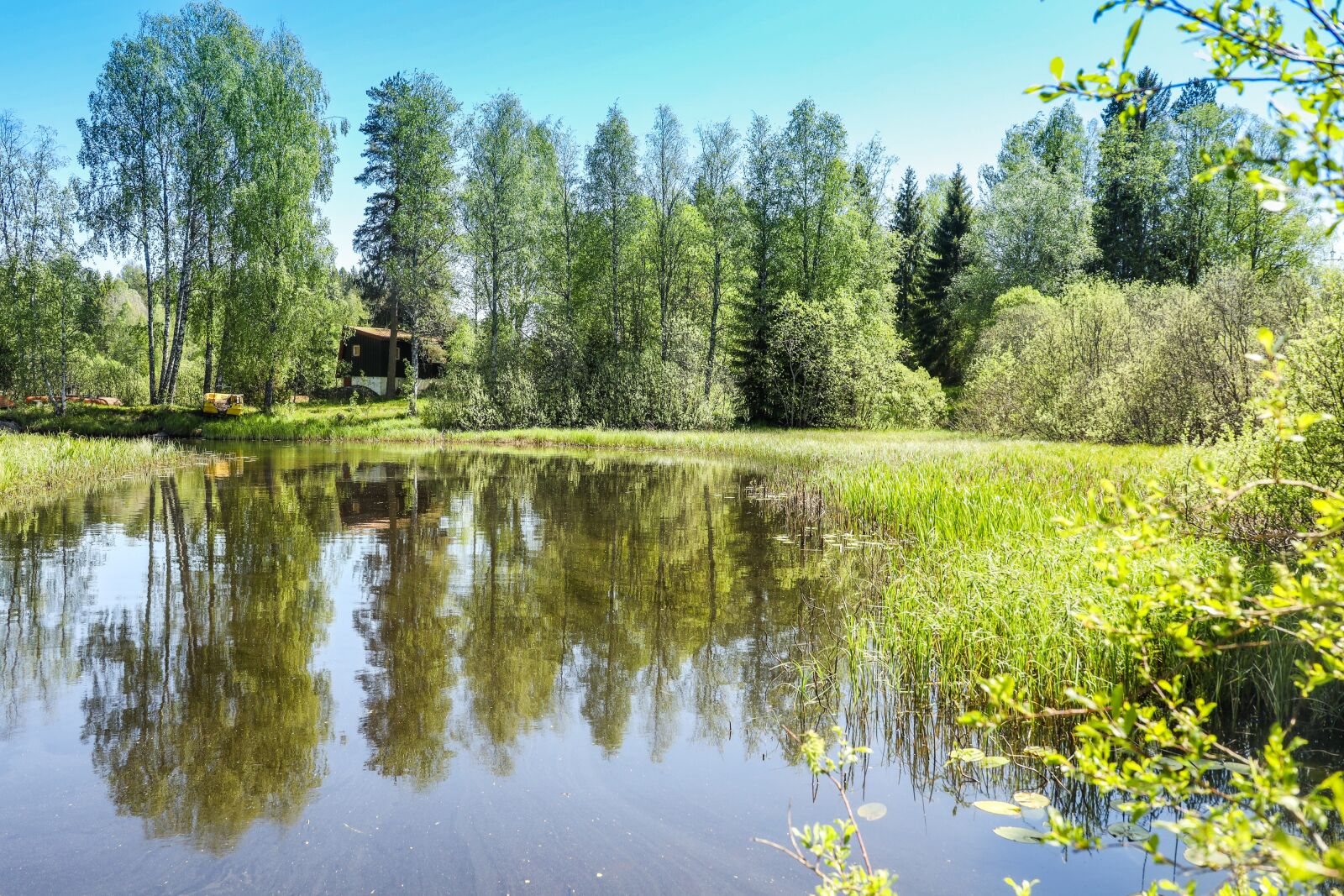 Canon EOS R sample photo. Water, lake, trees photography