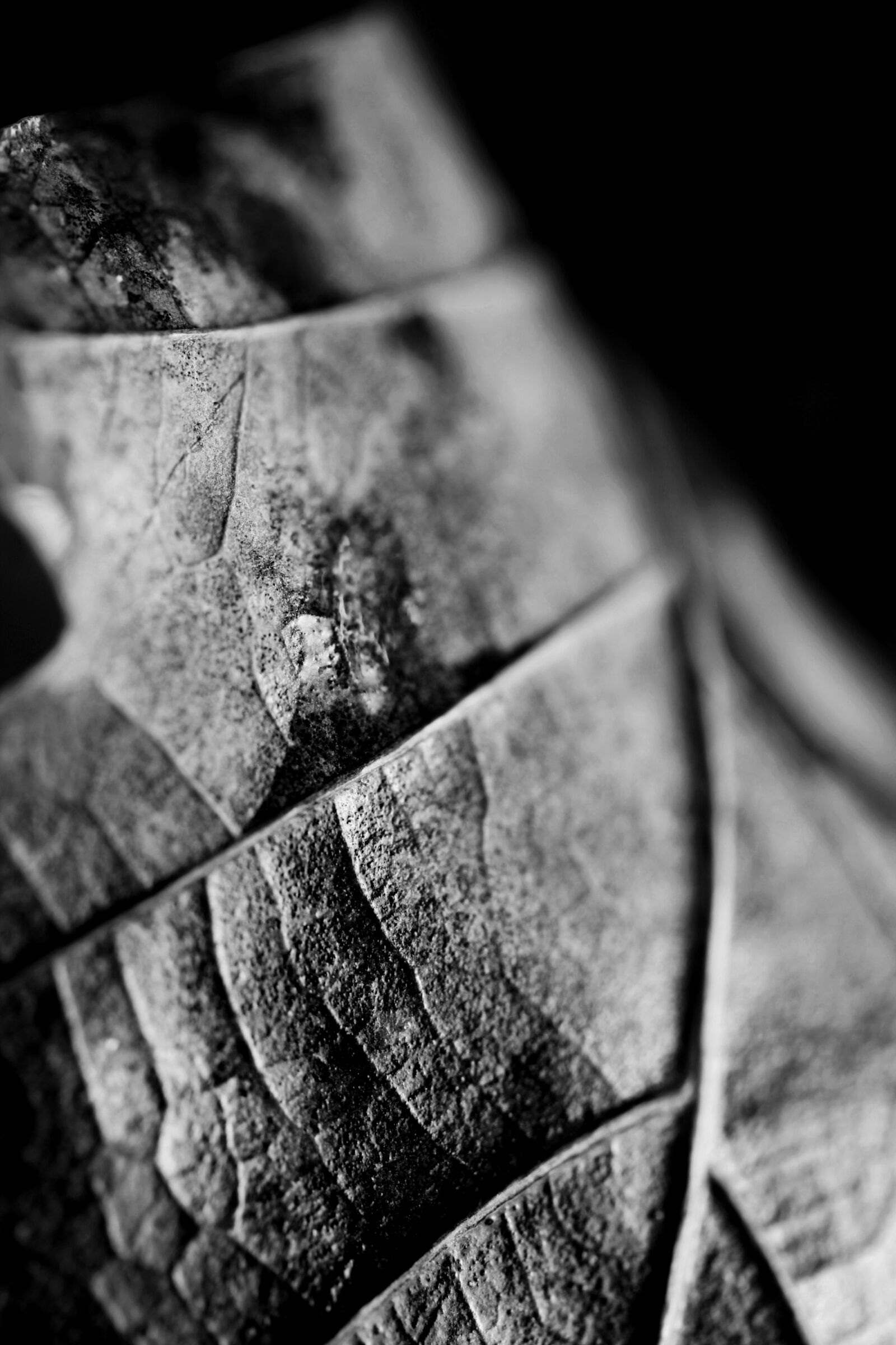 Canon EOS 5D Mark II sample photo. Black and white, black photography