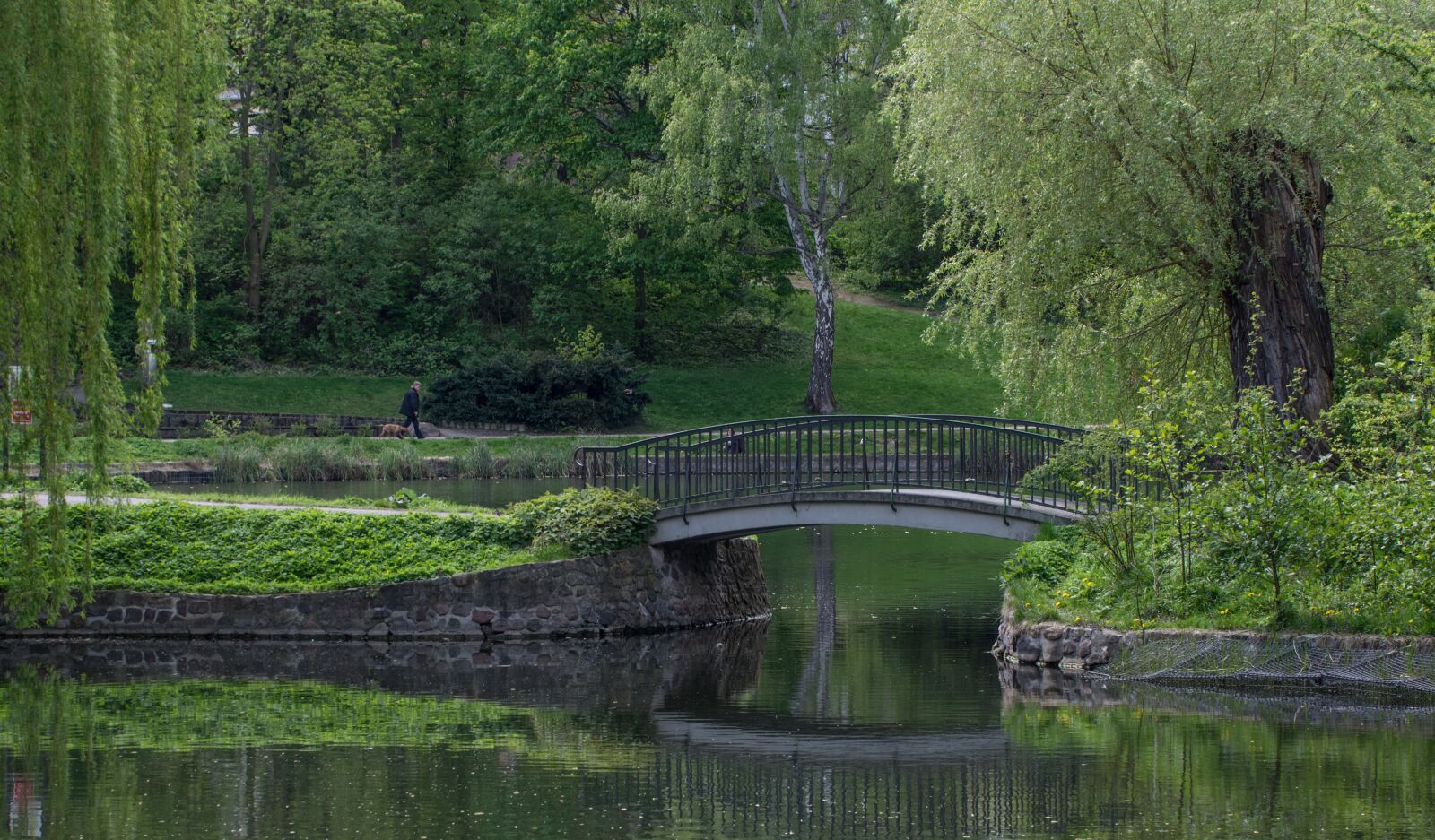 Pentax K-3 sample photo. Park, bridge, landscape photography
