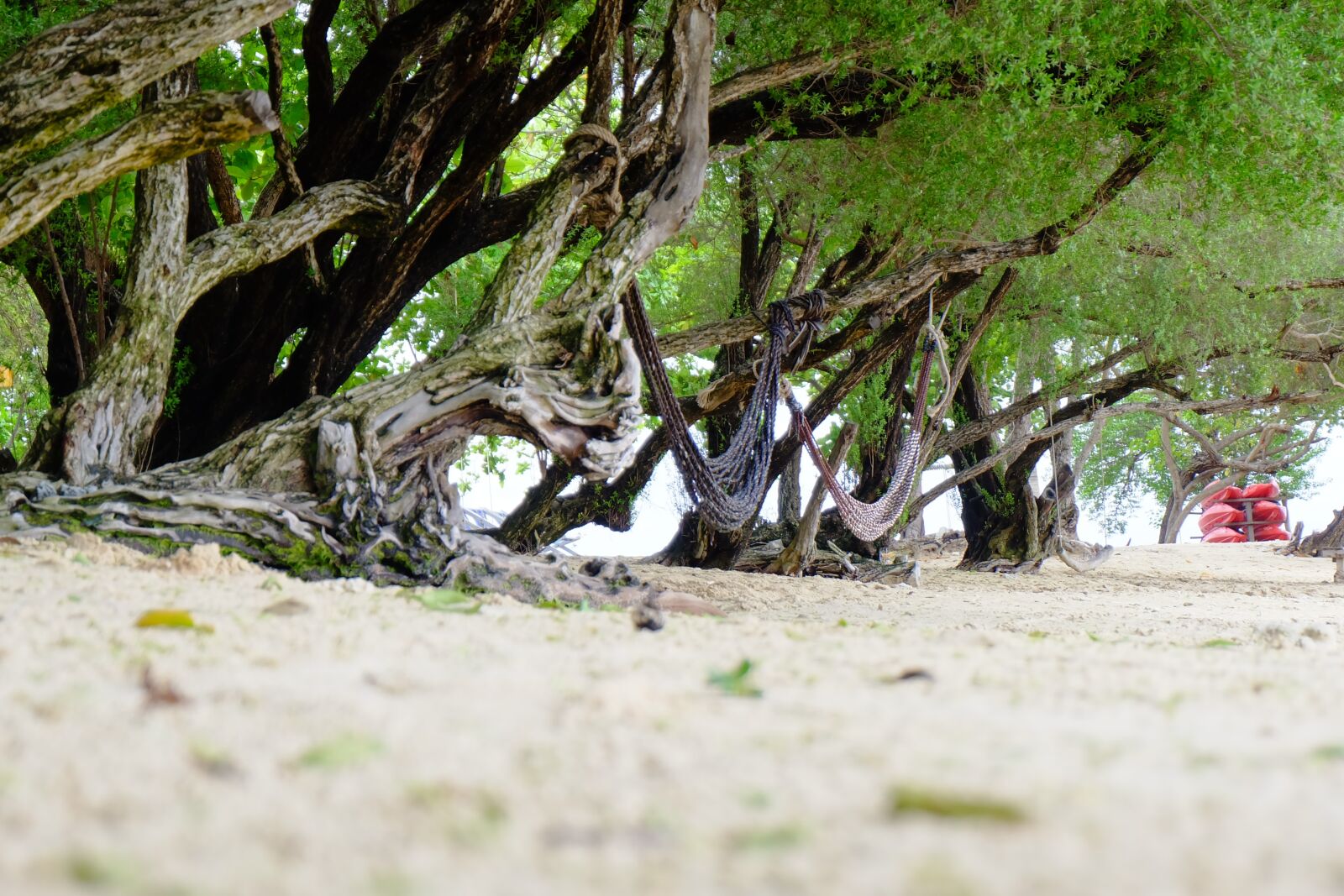 Fujifilm X-A1 sample photo. Koh samet, beach coral photography