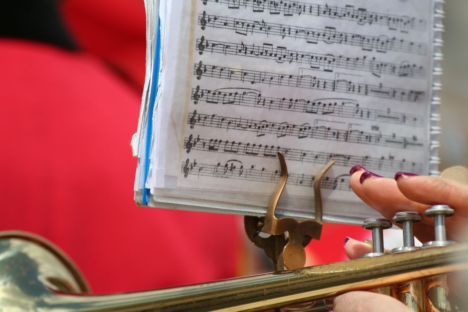 Canon EOS 350D (EOS Digital Rebel XT / EOS Kiss Digital N) sample photo. Score, music, trumpet photography