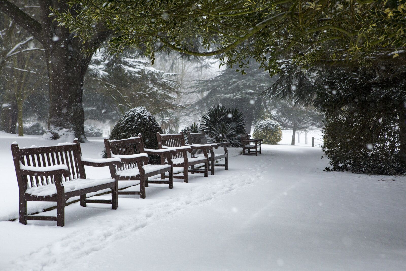 Canon EOS 5D Mark III sample photo. Winter, snow, park photography