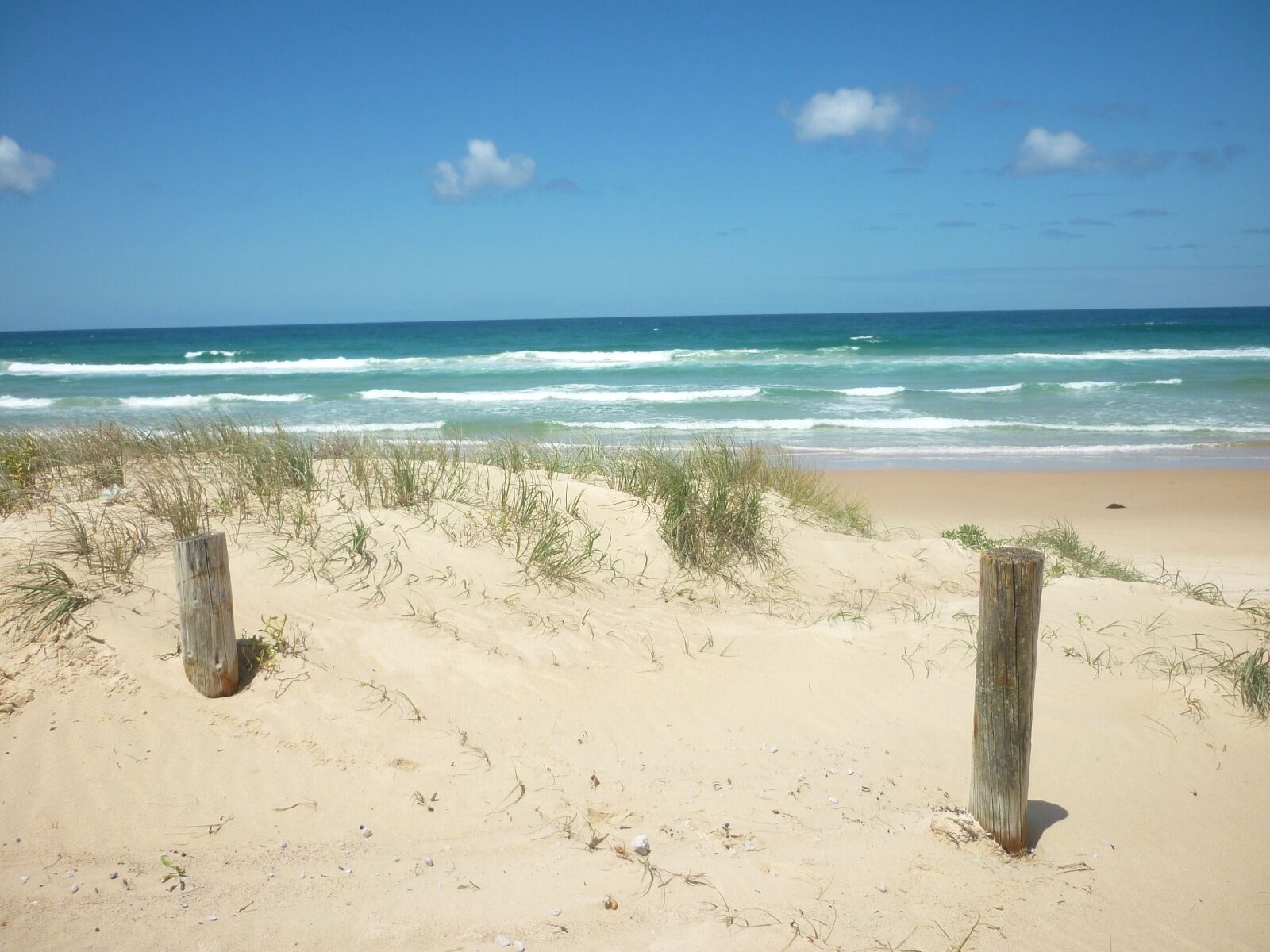 Panasonic DMC-FS62 sample photo. Beach, australia, surf photography