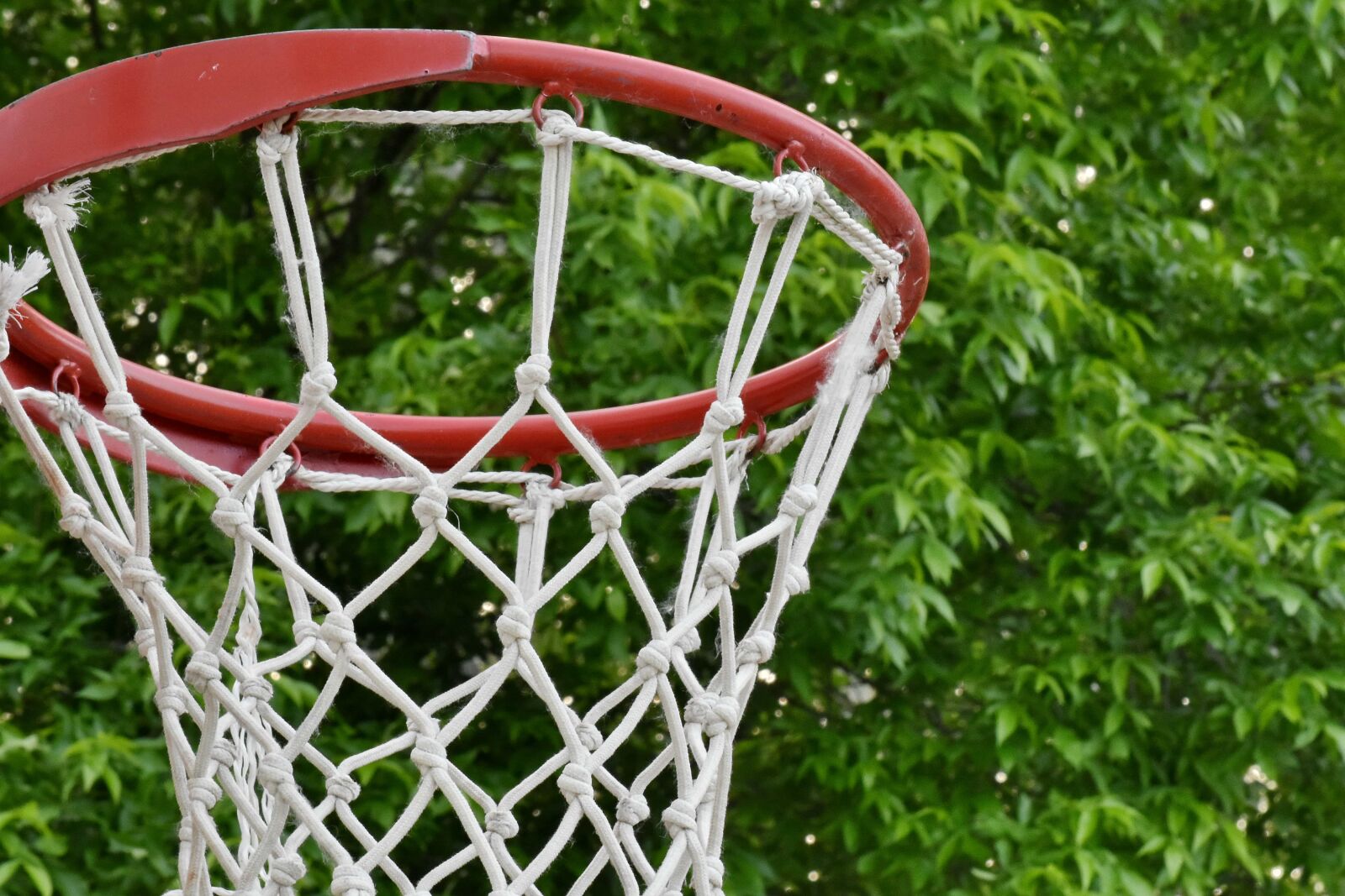 Nikon D5500 sample photo. Playground, basketball, web, sport photography