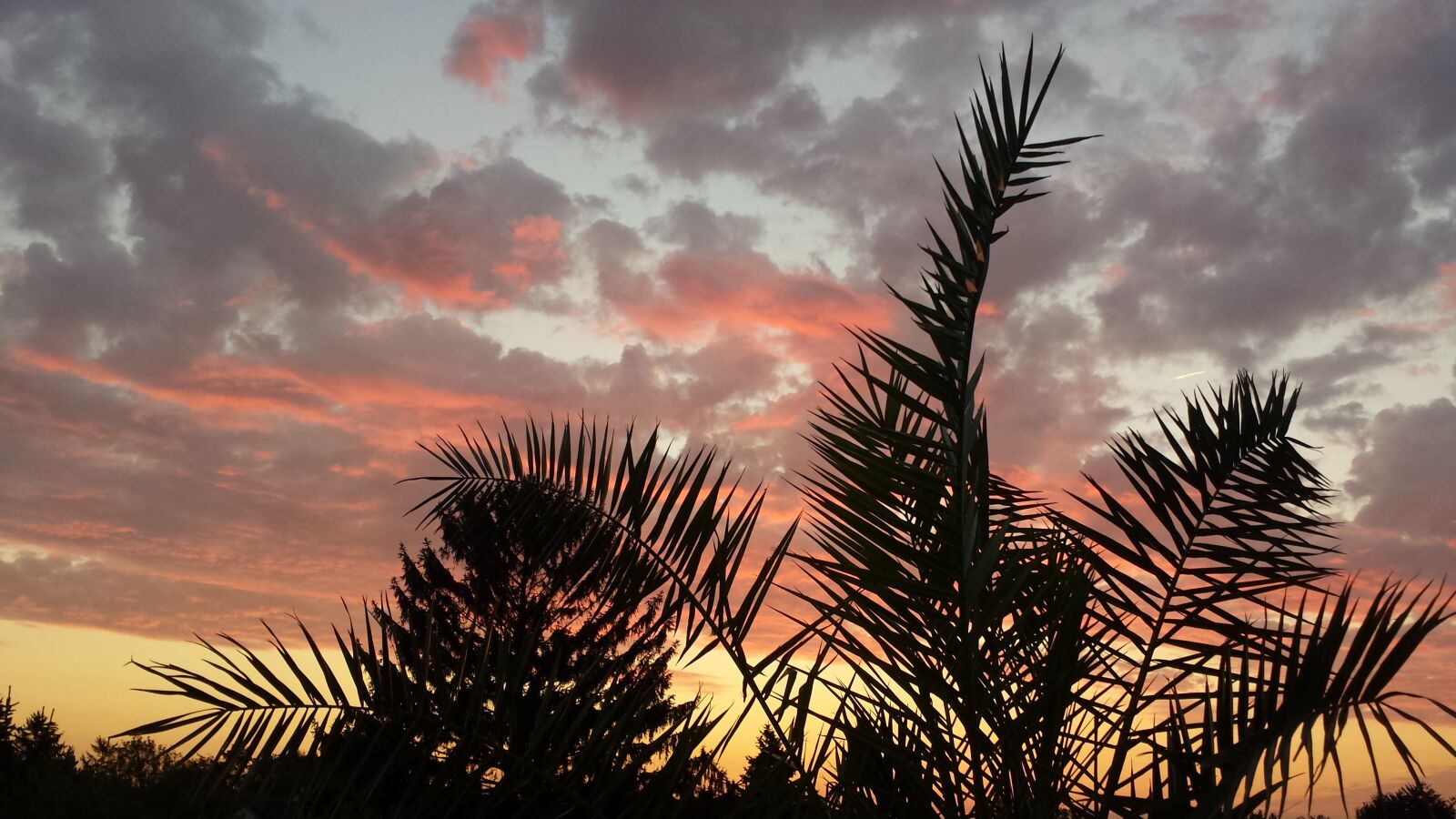 Samsung Galaxy S4 sample photo. Morning, sunrise, morgenstimmung photography