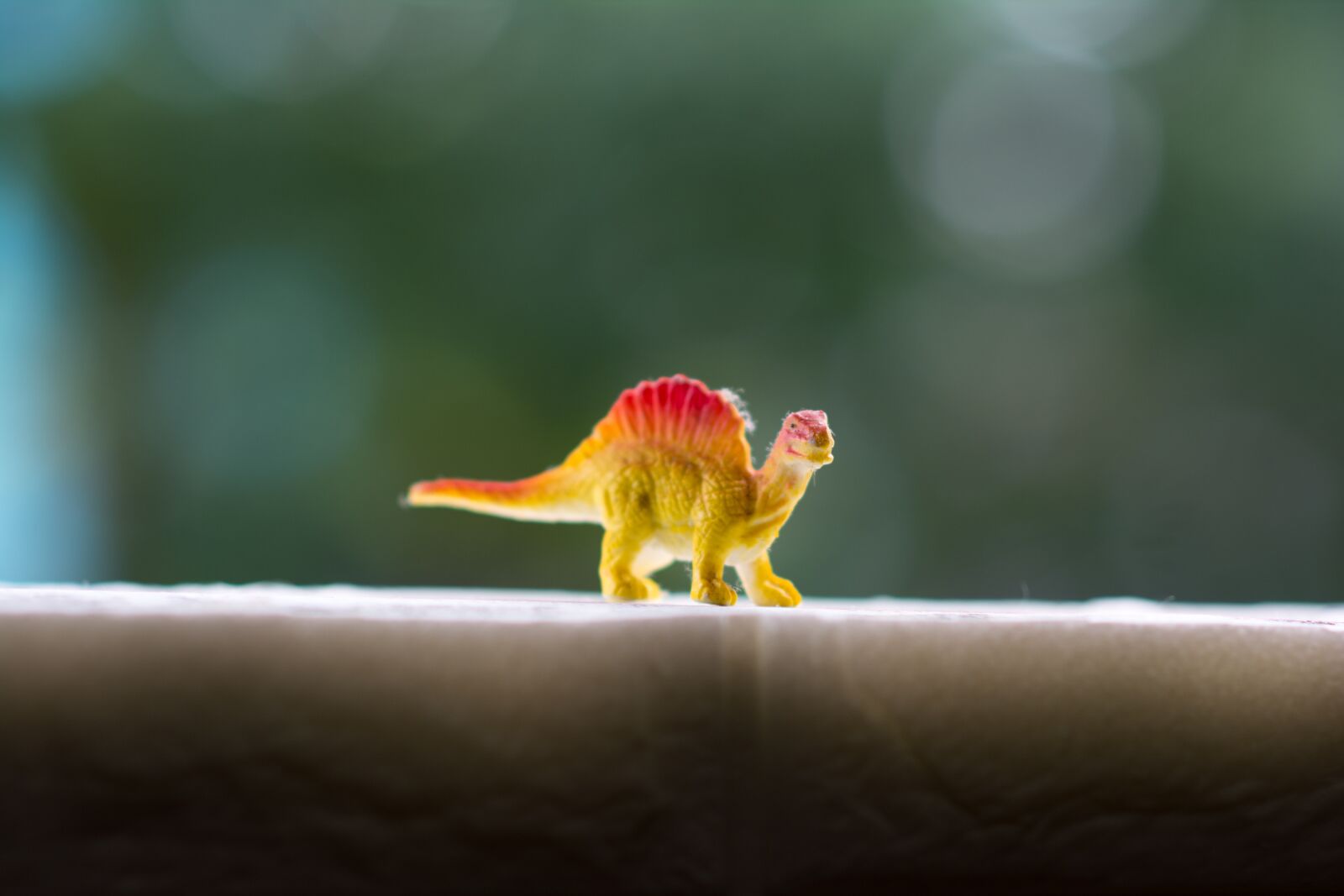 Nikon D5200 sample photo. Animal, toy, cute photography
