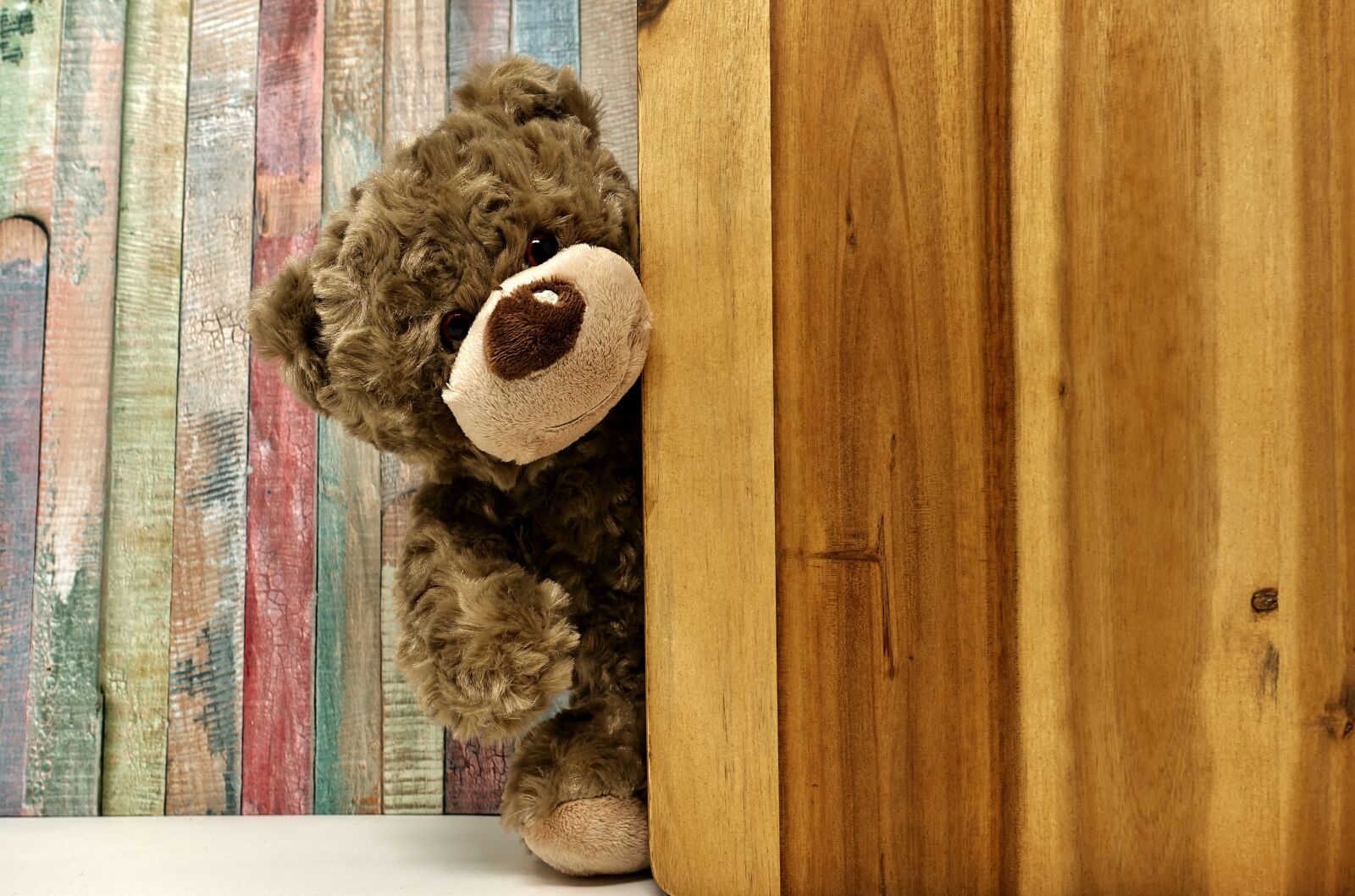 Sony DSC-RX100M5 sample photo. Teddy, teddy bear, soft photography
