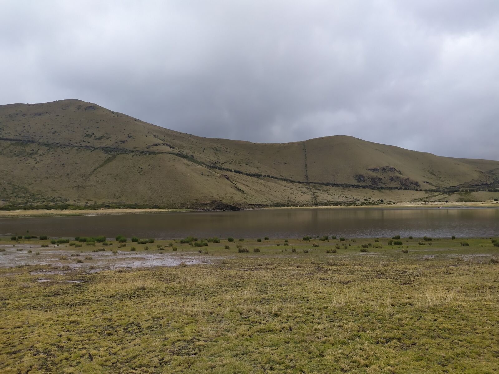 Xiaomi Redmi Note 7 sample photo. Landscape, moor, grass photography