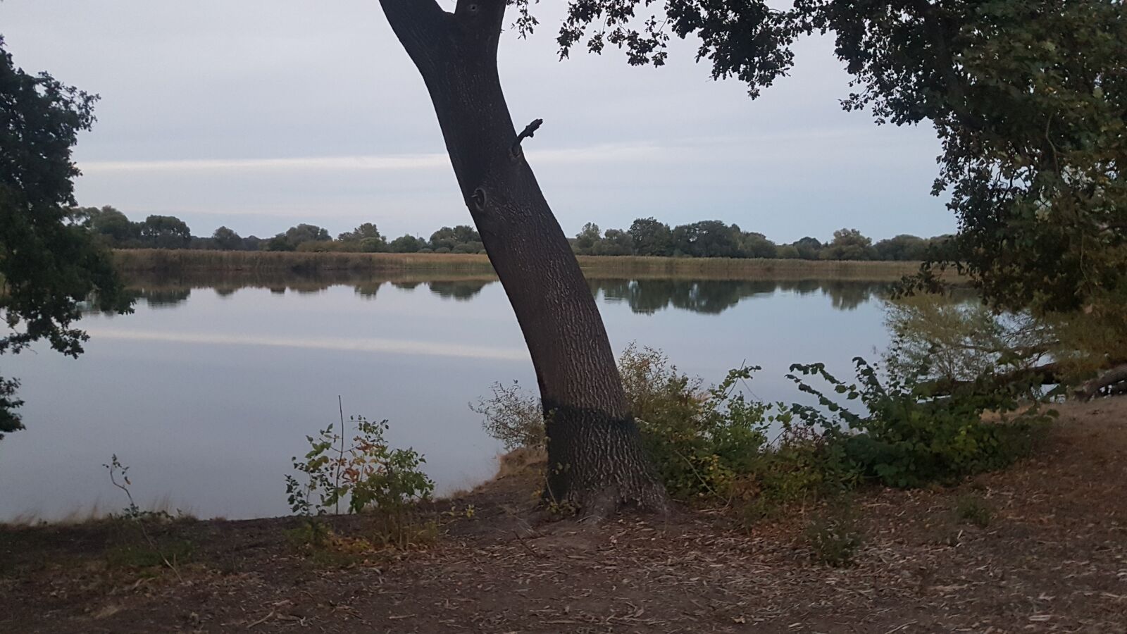 Samsung Galaxy S7 sample photo. See, water, wasser photography