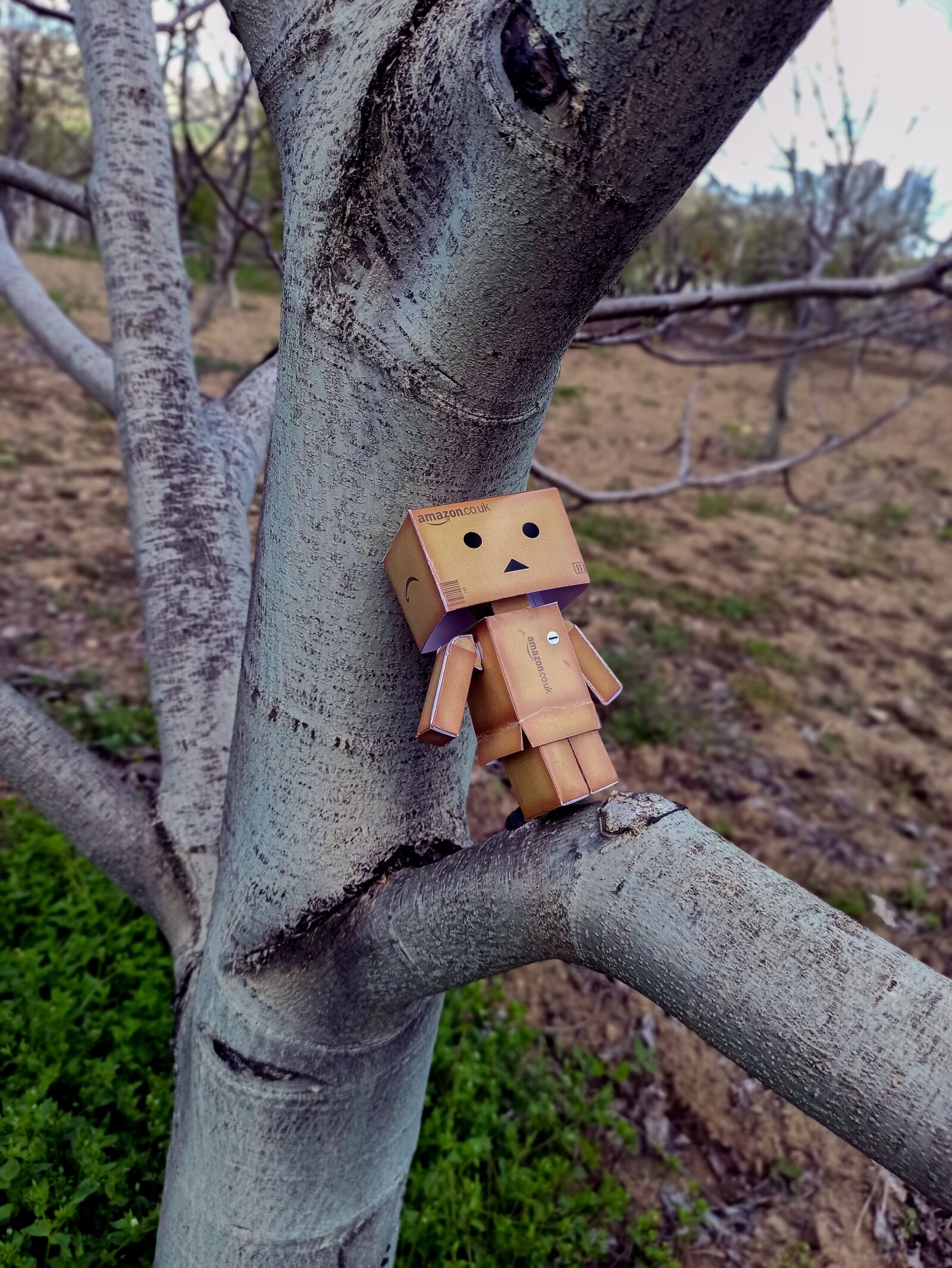 Xiaomi Redmi Note 8 Pro sample photo. In stock, toy, danboard photography
