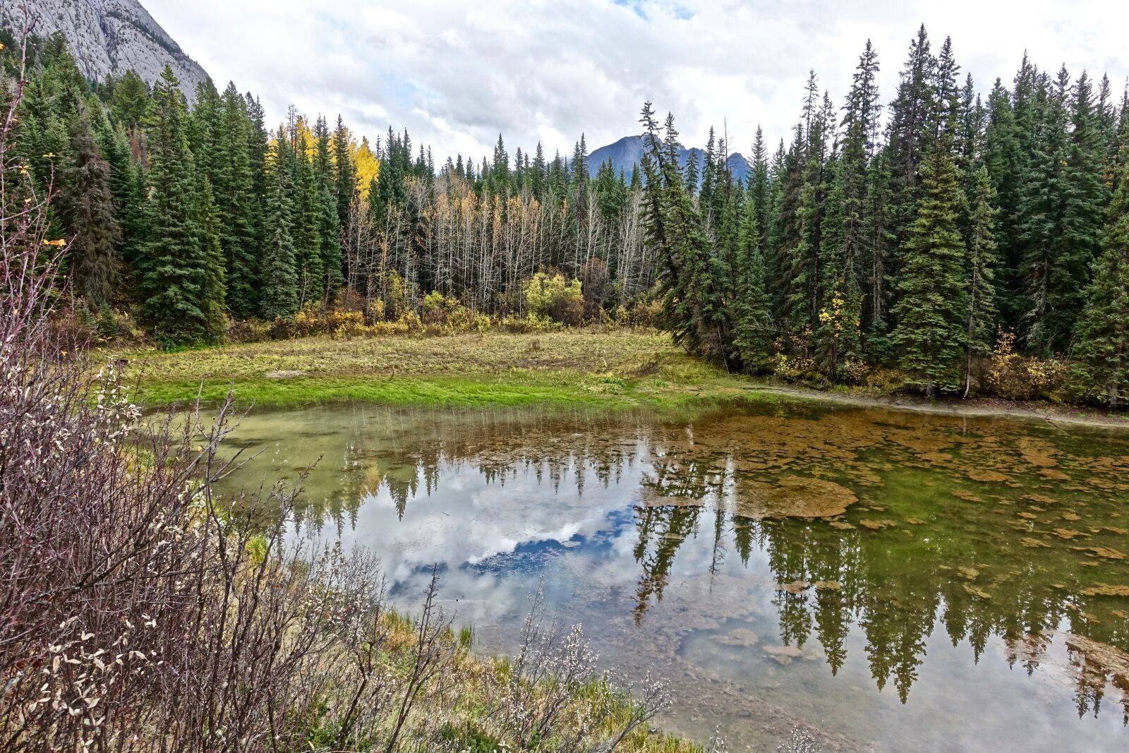 Sony Cyber-shot DSC-RX100 III sample photo. Pond, reflection, wilderness photography