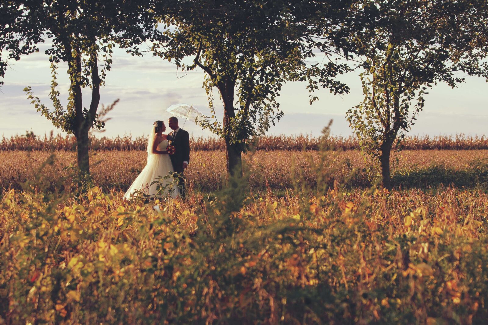 Canon EF 70-200mm F2.8L IS USM sample photo. Agriculture, bride, countryside, field photography