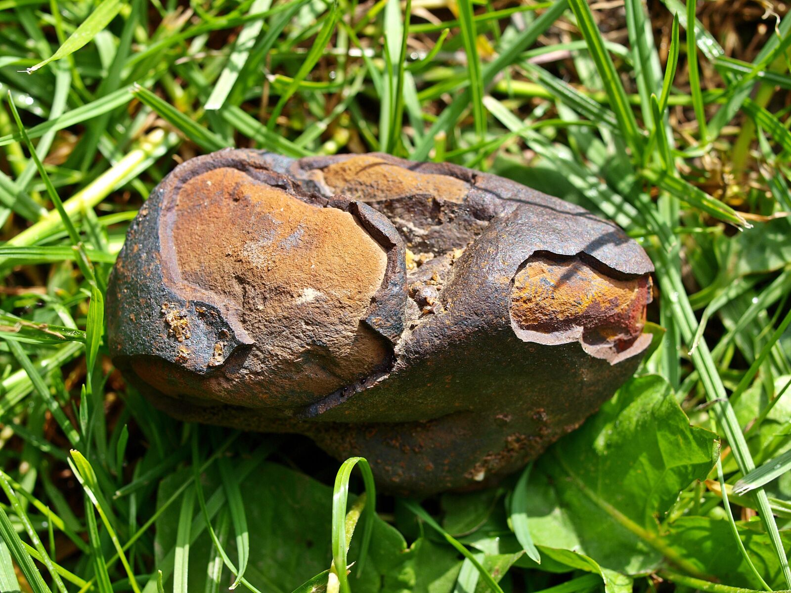 Olympus E-450 (EVOLT E-450) sample photo. Small meteorite, melted, outer photography