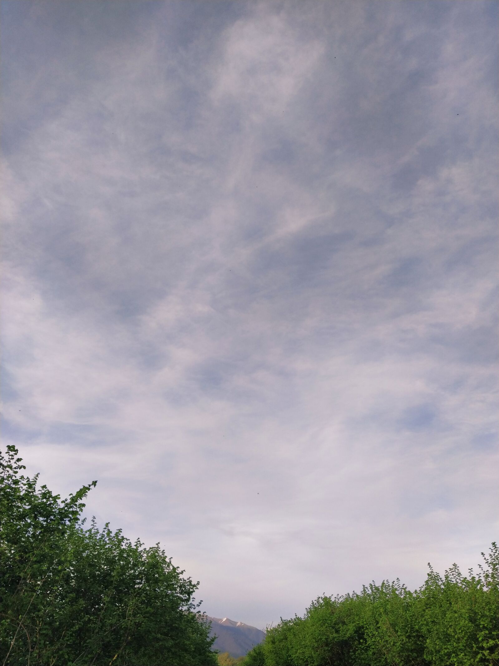 Xiaomi Mi A3 sample photo. Clouds, trees, ganesh photography