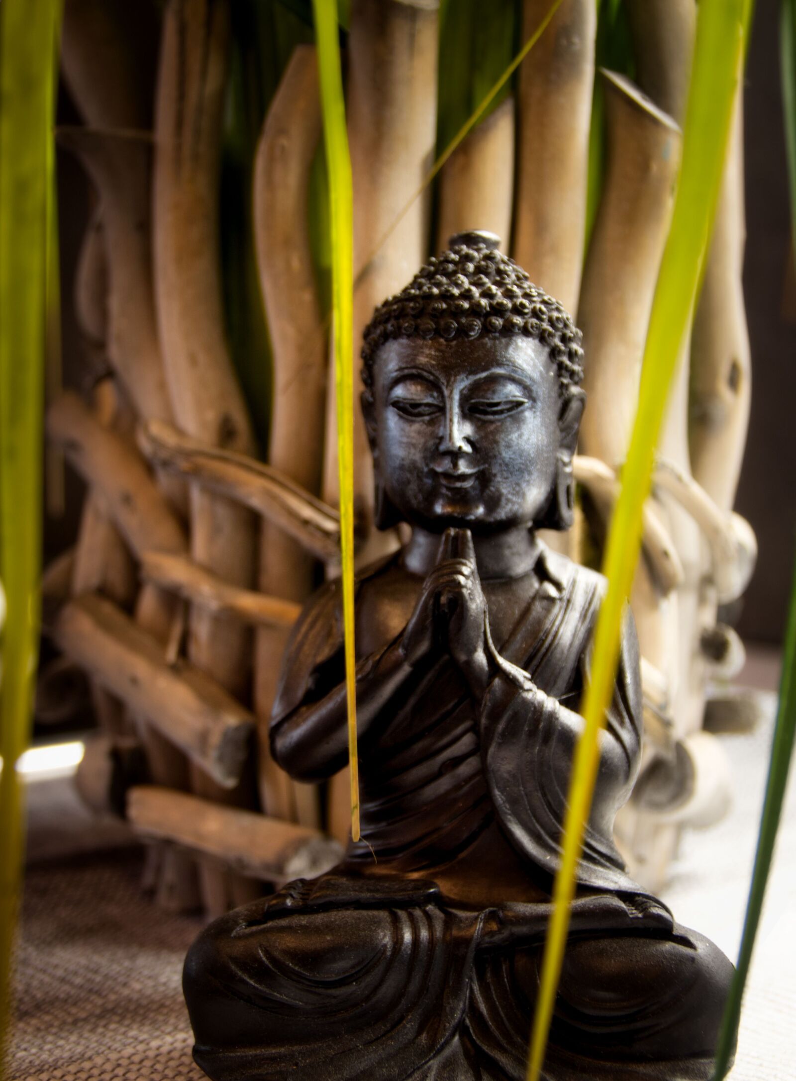 Canon EOS 700D (EOS Rebel T5i / EOS Kiss X7i) sample photo. Buddha, game, green photography