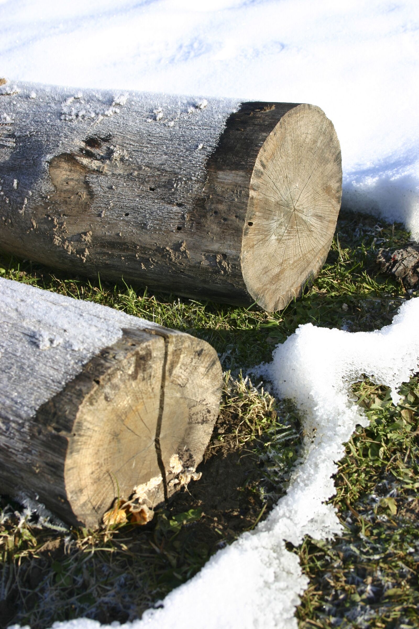Canon EOS 300D (EOS Digital Rebel / EOS Kiss Digital) sample photo. Wood, logs, winter photography