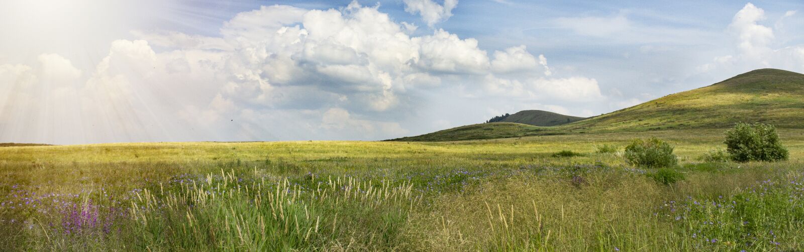 Canon EOS 600D (Rebel EOS T3i / EOS Kiss X5) sample photo. Summer, sunlight, landscape photography