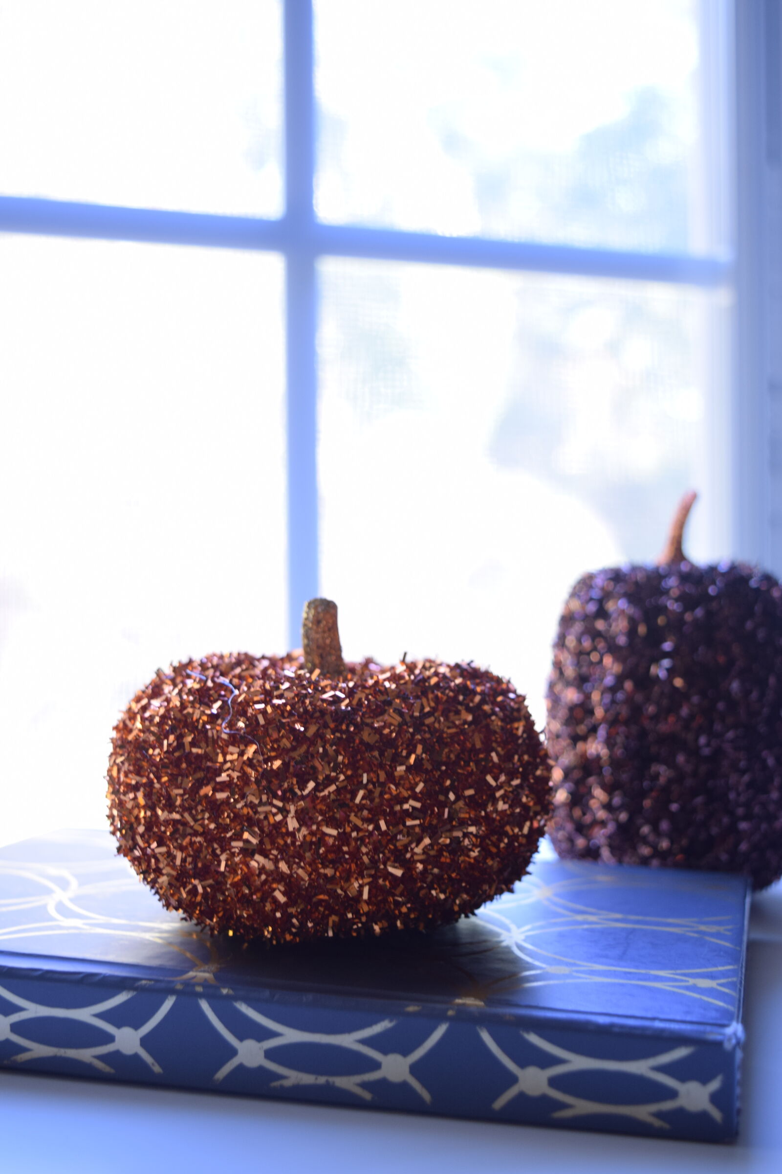Nikon D3300 sample photo. Autumn, book, fall, pumpkins photography