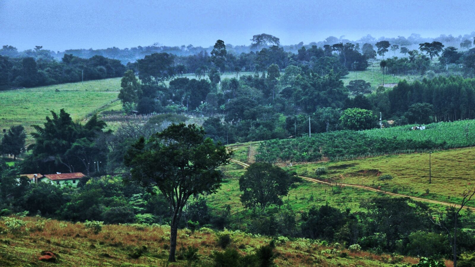 Nikon D90 sample photo. Farm, field, panorama photography