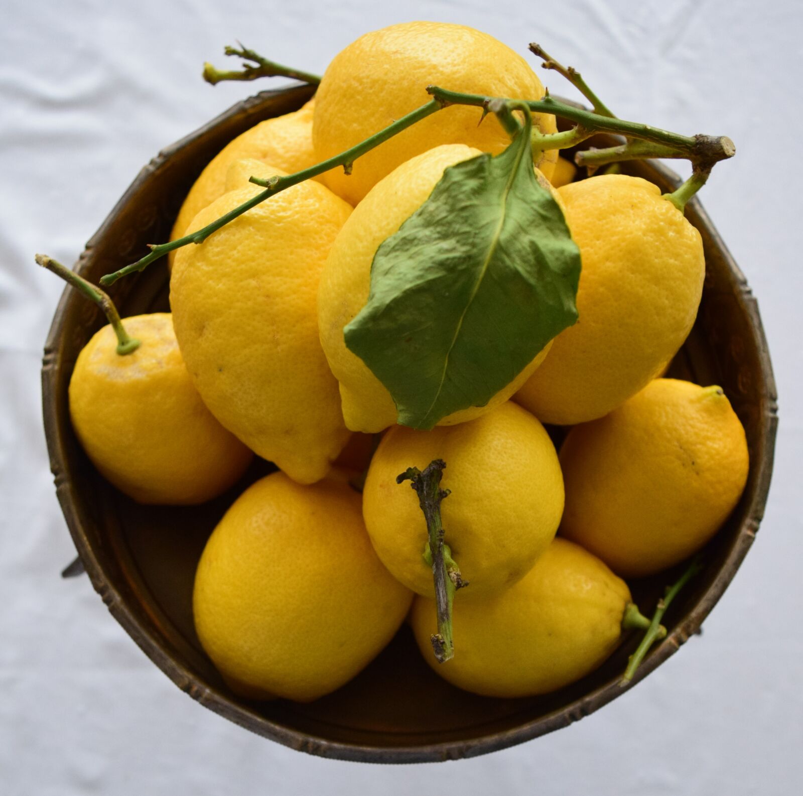 Nikon D3300 sample photo. Lemon, fruit, bowl photography